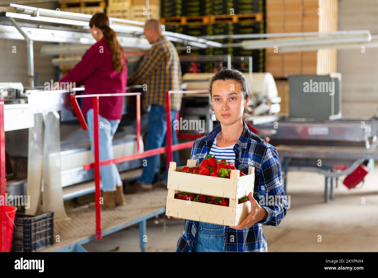 Femme tenant une boîte de fraises à l'entrepôt de fruits Banque D'Images