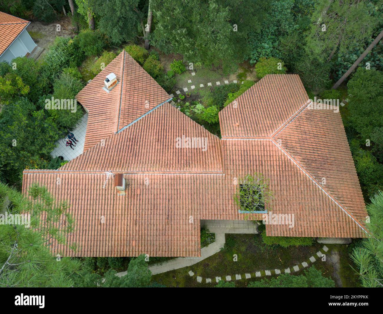 Vue aérienne du toit d'une maison d'architecte dans la forêt des Landes (Hossegor, Landes, Nouvelle-Aquitaine, France). Banque D'Images