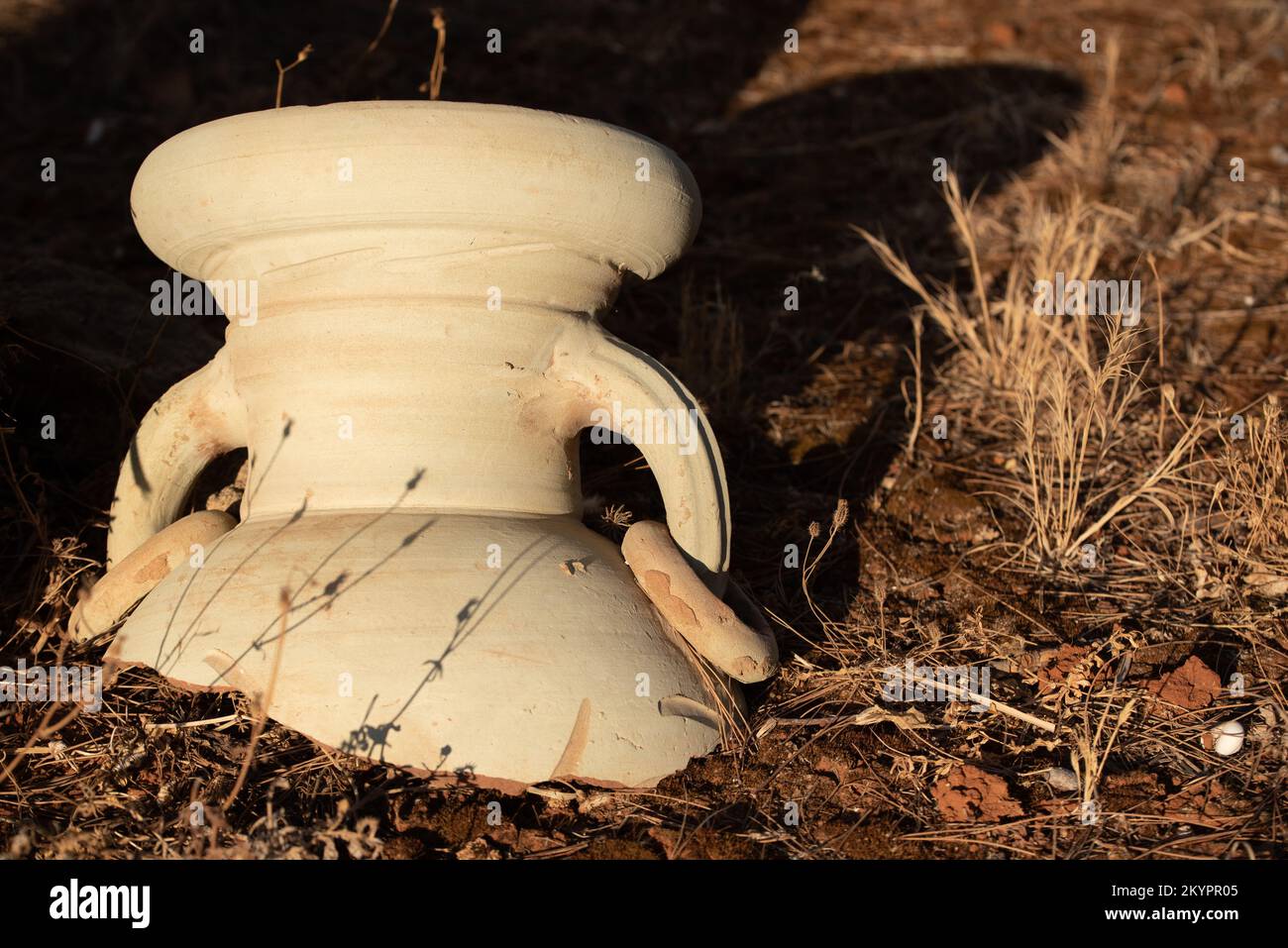 Gros plan d'une vieille verseuse en argile qui a été cassée. Le craw se trouve sur la terre parchée au soleil du soir. Banque D'Images
