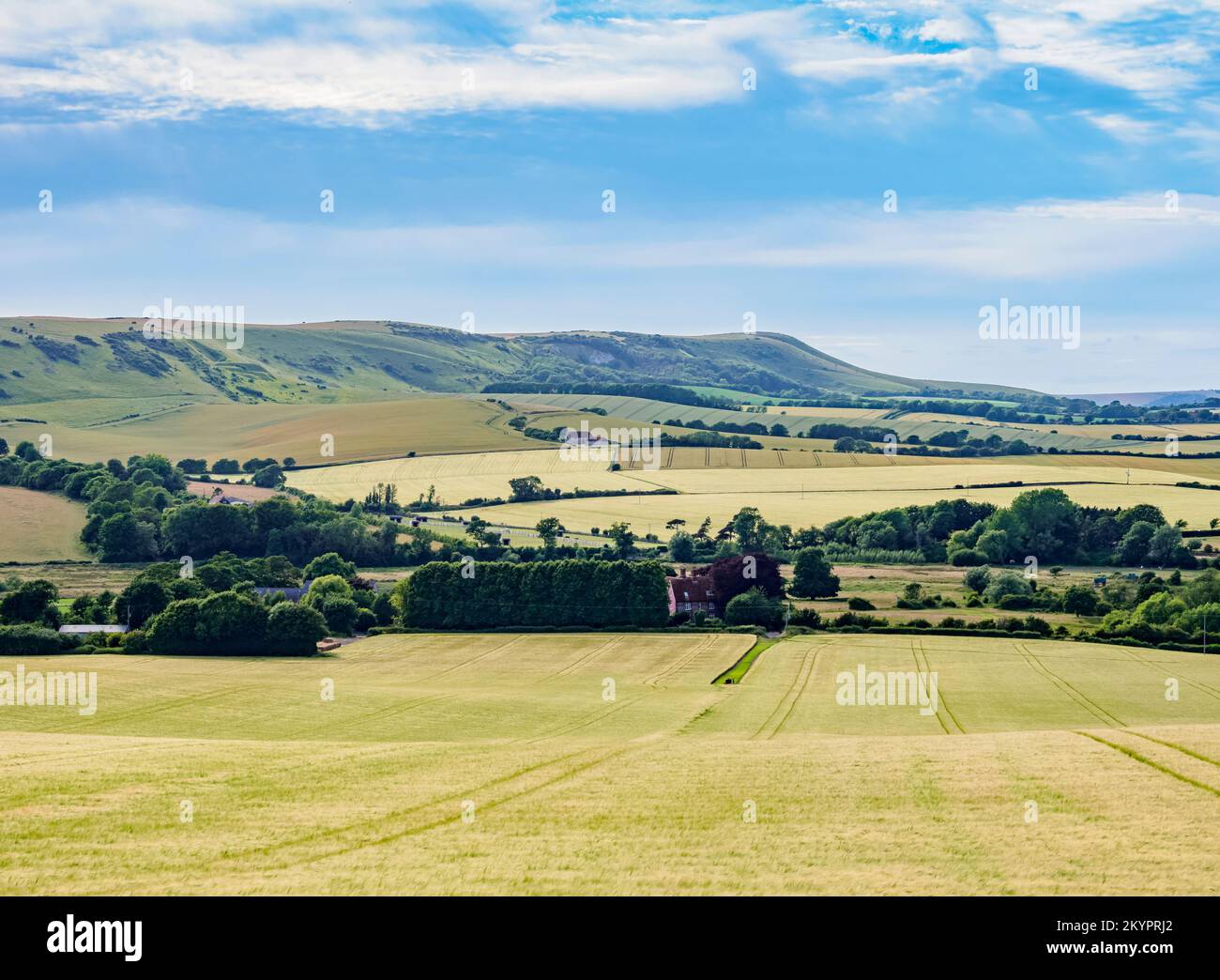Paysage de la vallée de la rivière Cuckmere près de Wilmington, Wealden District, East Sussex, Angleterre, Royaume-Uni Banque D'Images