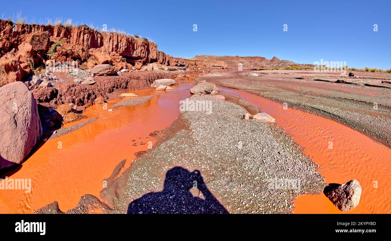 L'eau rouge de Lithodendron Wash dans Petrified Forest National Park Arizona. La couleur rouge provient de l'argile bentonite dans les collines environnantes. Banque D'Images