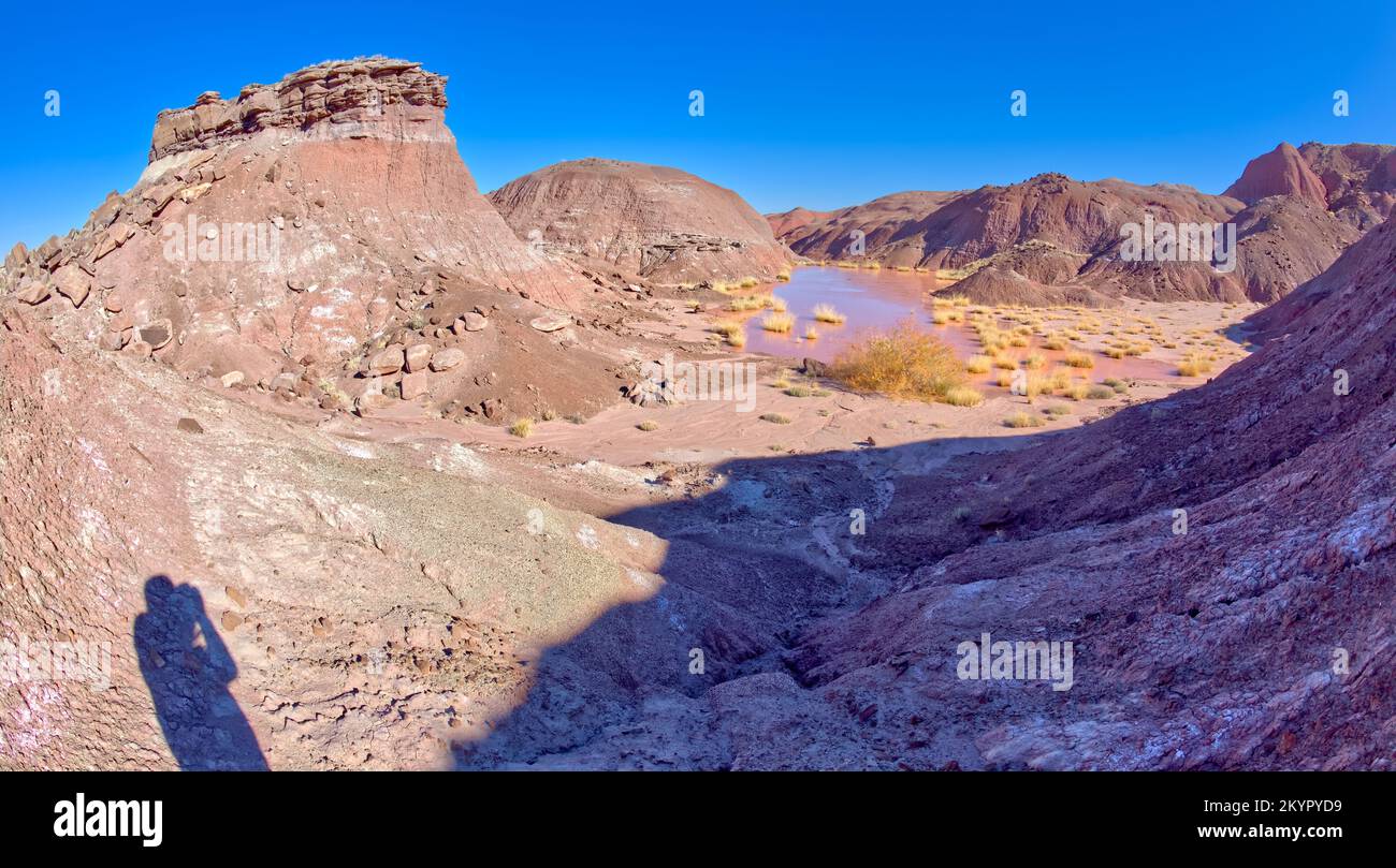 Un point d'eau marécageux dans le parc national de la Forêt pétrifiée Arizona appelé Tiponi Flats. Banque D'Images
