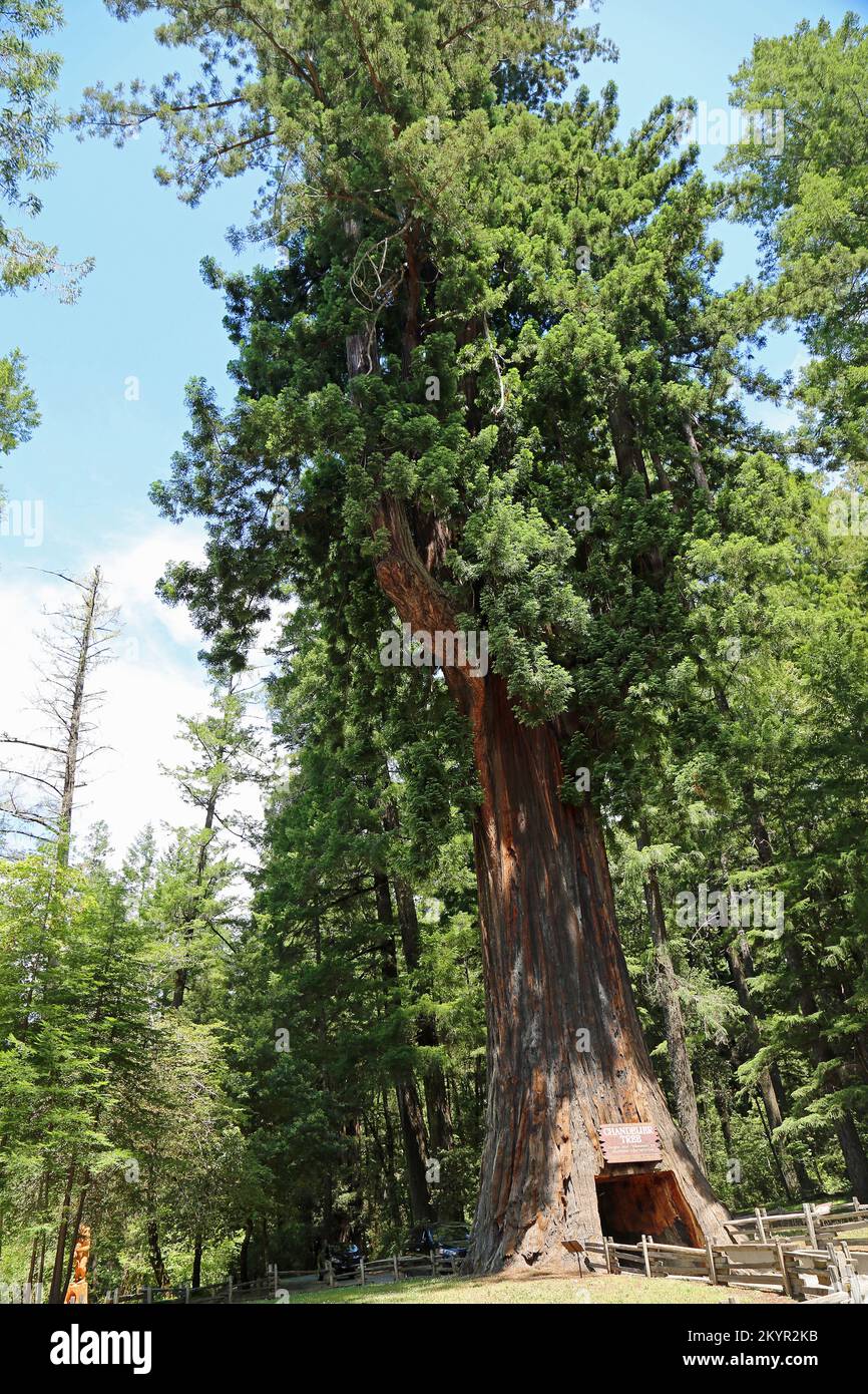 Vue sur le lustre - Californie Banque D'Images