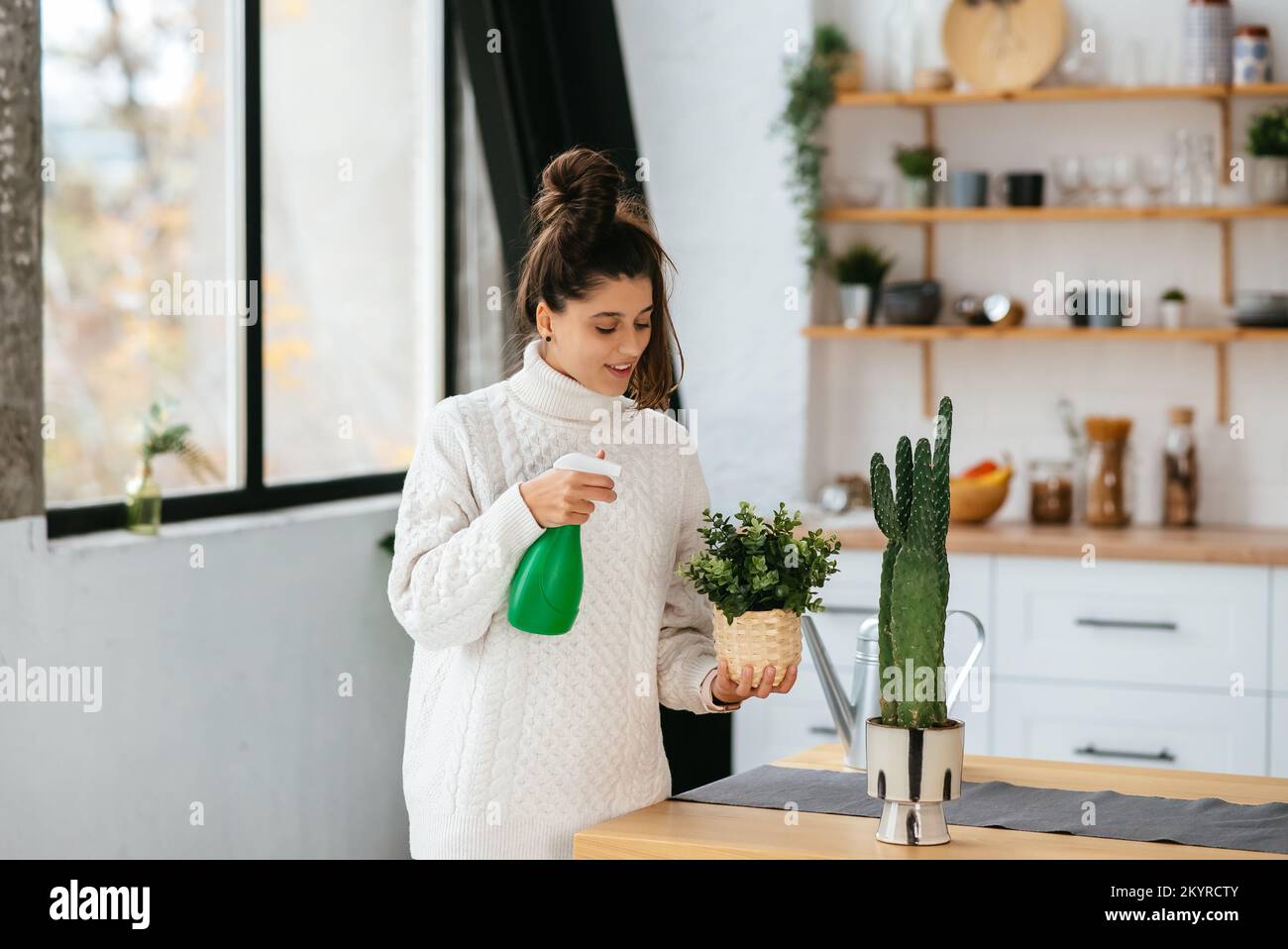 Femme pulvérisant de l'eau sur des plantes de maison dans des pots de fleurs par pulvérisateur. Banque D'Images