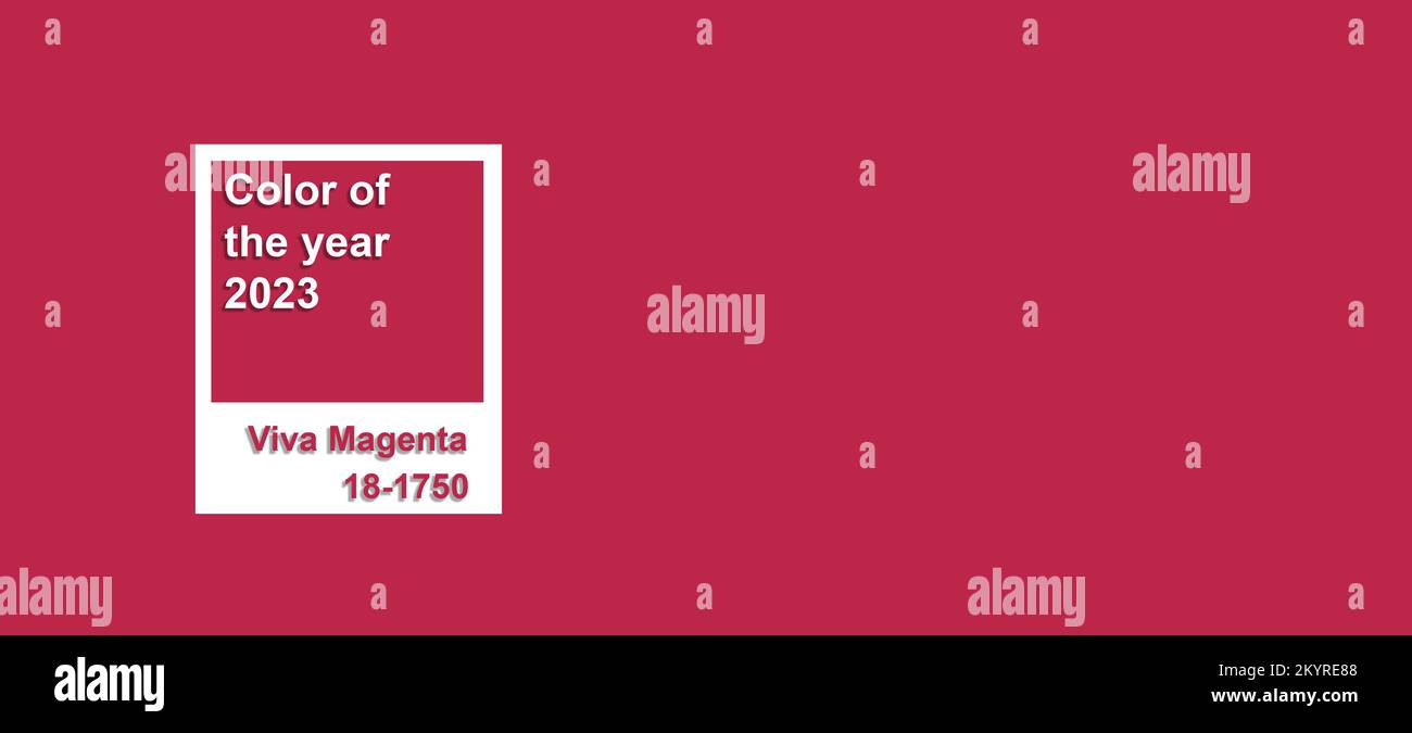 Couleur de l'année 2023 Viva Magenta. Concept de minimalisme. Banque D'Images