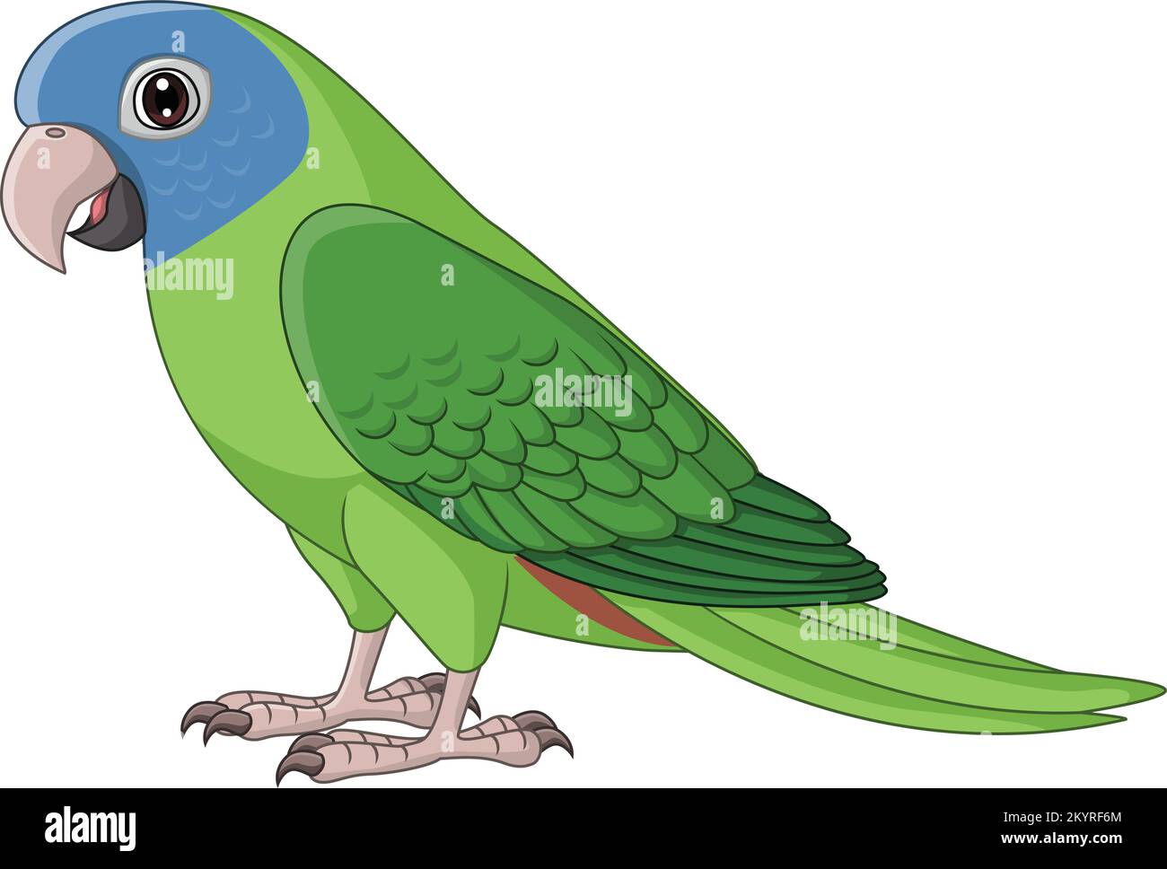 Caricature Blue Crown Parrot Illustration de Vecteur