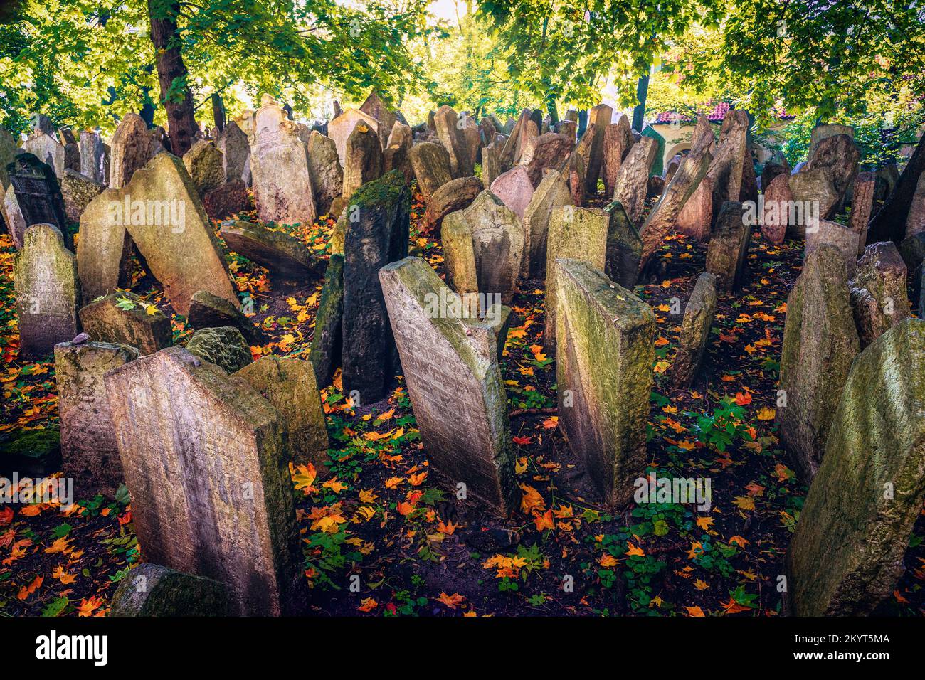 Vieux cimetière juif, Prague, République Tchèque Banque D'Images