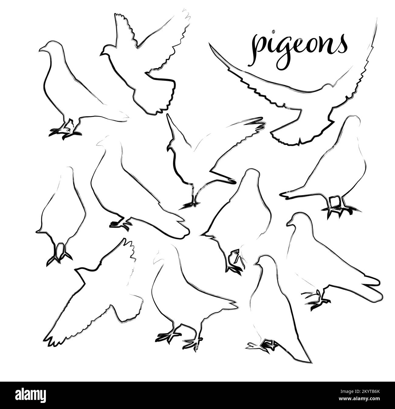 Colombe de la paix dans un dessin simple. Ensemble de colombes avec trait de pinceau. Illustration vectorielle Illustration de Vecteur Colombe de la paix dans un dessin simple. Ensemble de colombes avec trait de pinceau. Illustration vectorielle Illustration de Vecteur