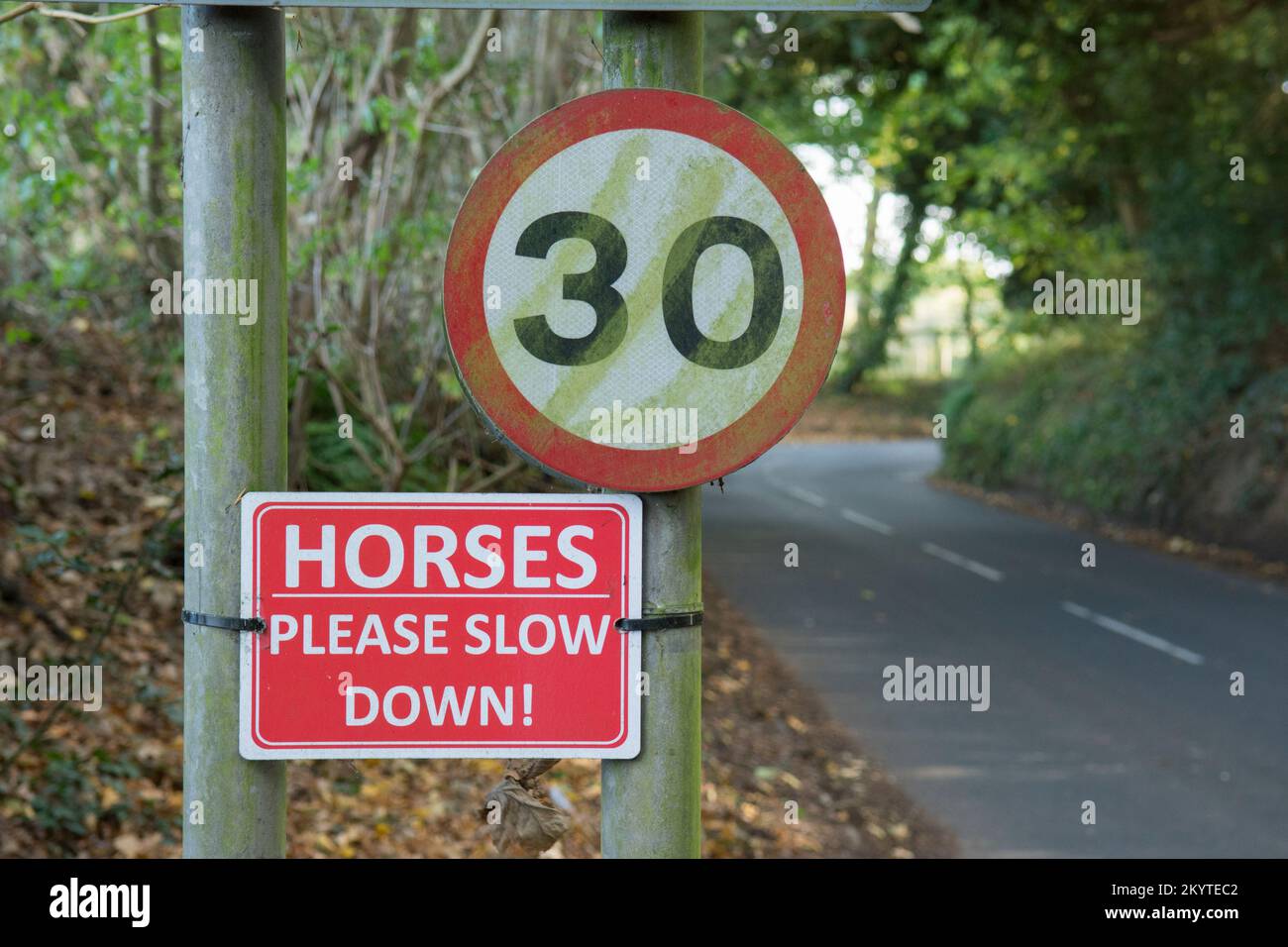 Image amusante de chevaux, veuillez ralentir le panneau de signalisation routière et le panneau de limite de vitesse de 30 mph sur une voie étroite Banque D'Images