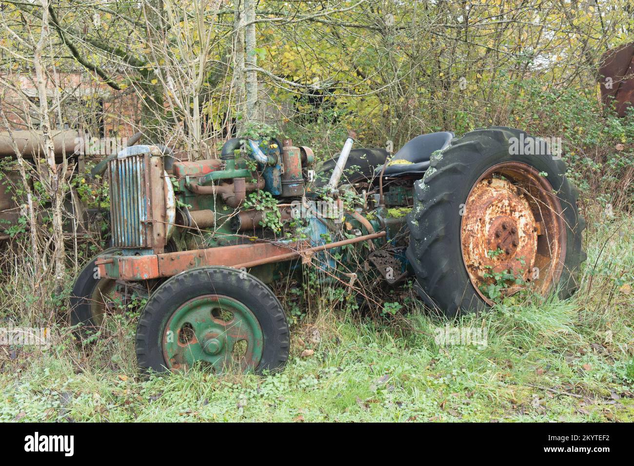 Vieux tracteur Fordson vieux et abandonné, surcultivé avec des mauvaises herbes et des brambles mais attrayant, Royaume-Uni Banque D'Images