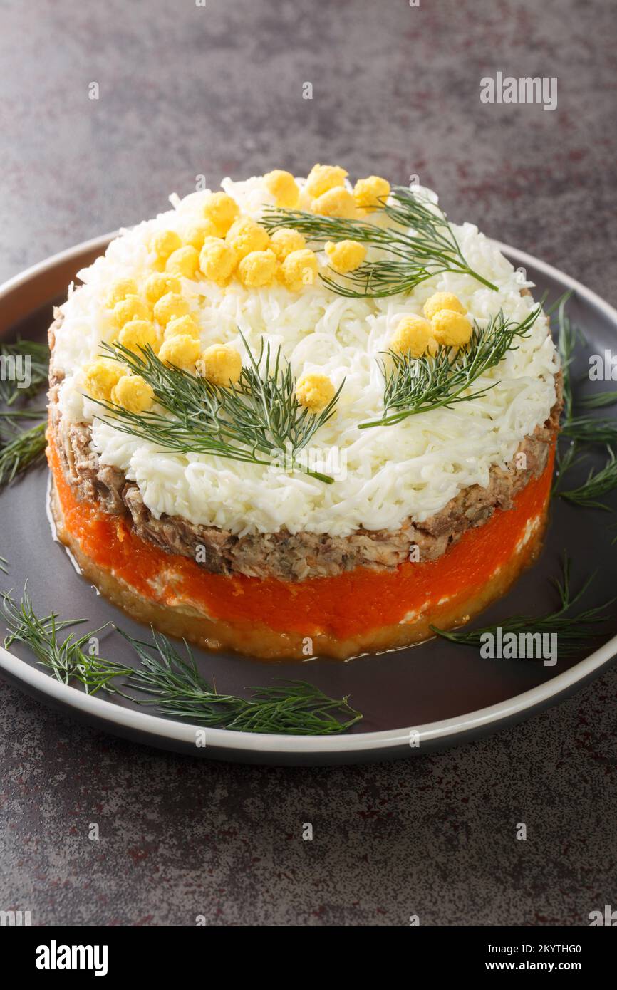 Salade mimosa formée ronde avec légumes, œufs et poisson en conserve sur la plaque grise de la table. Verticale Banque D'Images