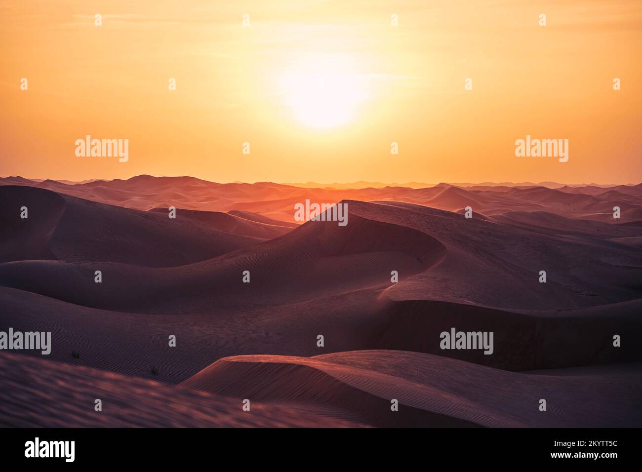 Journée de chaleur dans un paysage désertique. Dunes de sable au beau coucher du soleil. Abu Dhabi, Émirats arabes Unis Banque D'Images