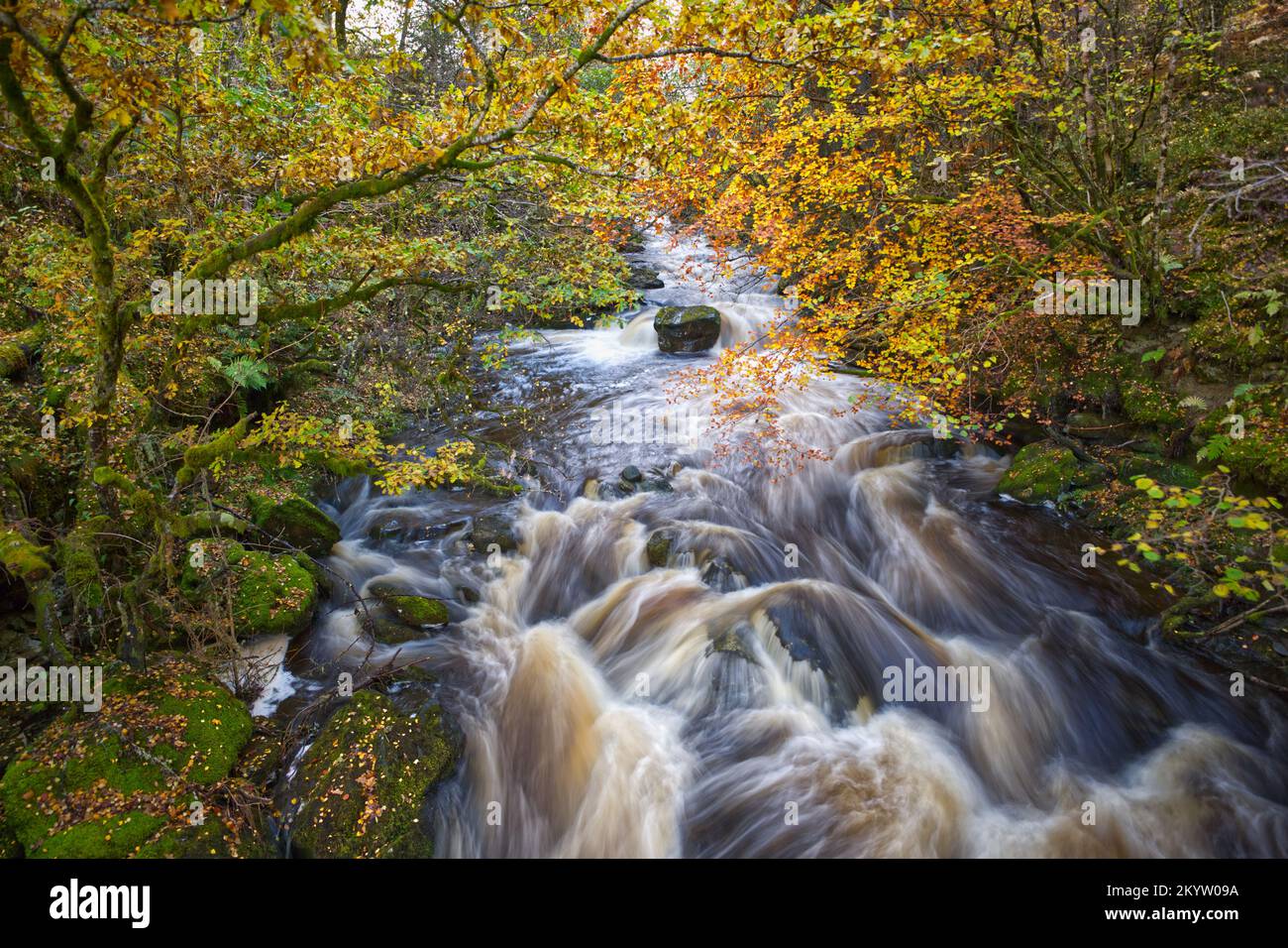 De Birks à Aberfeldy Banque D'Images