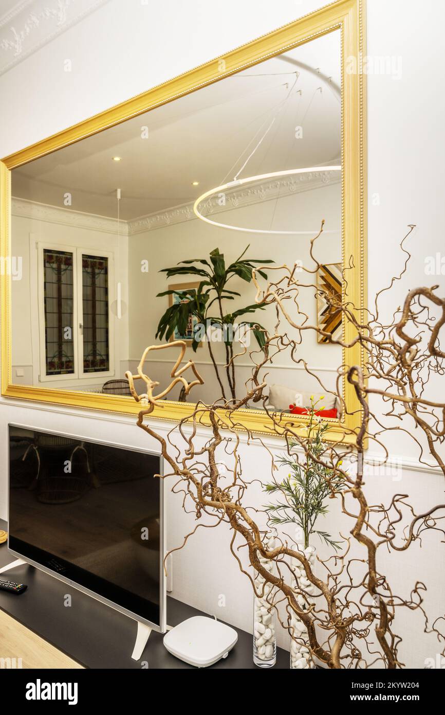 Salon d'une maison avec un grand miroir encadré doré au-dessus d'une télévision à écran plat et une plante décorative Banque D'Images