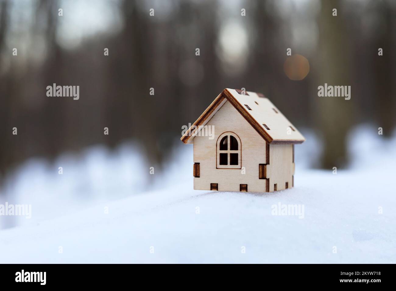 Modèle de maison en bois dans une neige sur fond de forêt d'hiver.Concept de chalet de campagne, immobilier dans zone écologiquement propre Banque D'Images