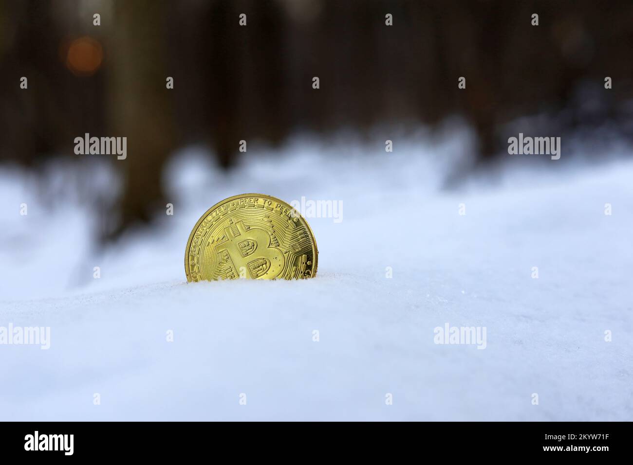 Bitcoin sur la dérive des neiges dans la forêt d'hiver. Monnaie électronique décentralisée, baisse ou gel du taux de crypto-monnaie Banque D'Images