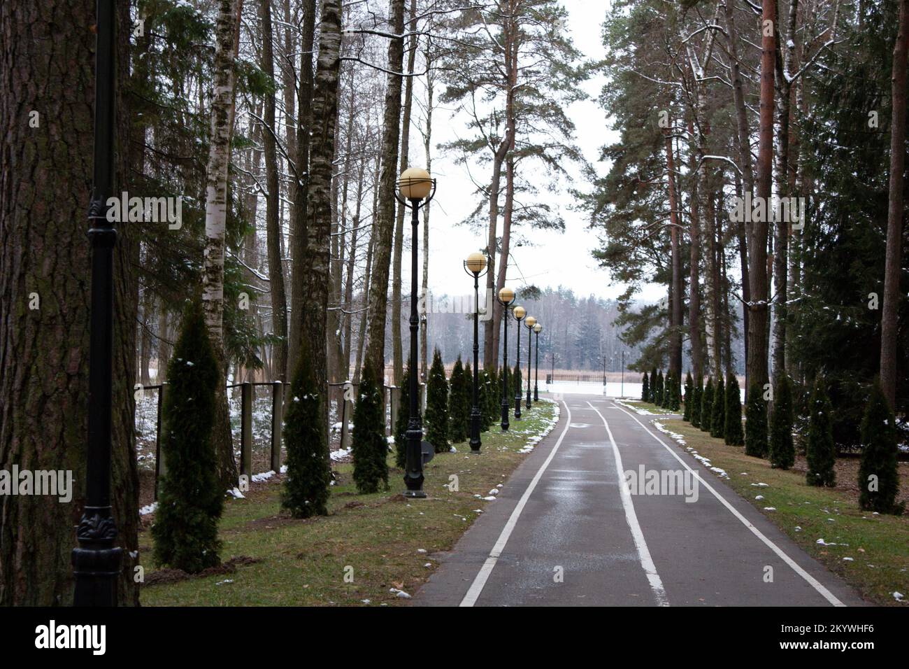 Reposez-vous sur la rive du lac dans une forêt de pins en hiver. Une allée d'asphalte dans une forêt de conifères va à un lac gelé. Lanternes le long du sentier. Banque D'Images