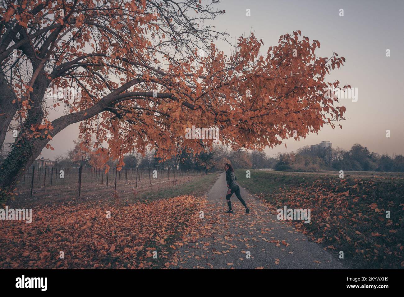 Femme en posture sportive sous un arbre avec de belles couleurs d'automne Banque D'Images