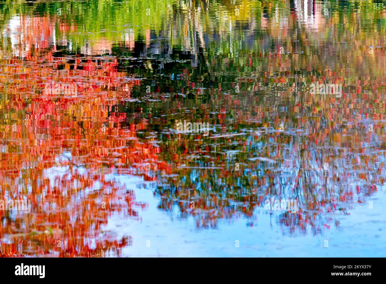 Les couleurs d'automne sur les arbres autour d'un étang dans un parc public se reflètent dans ses eaux légèrement ondulantes donnant une impression presque pavilement. Banque D'Images