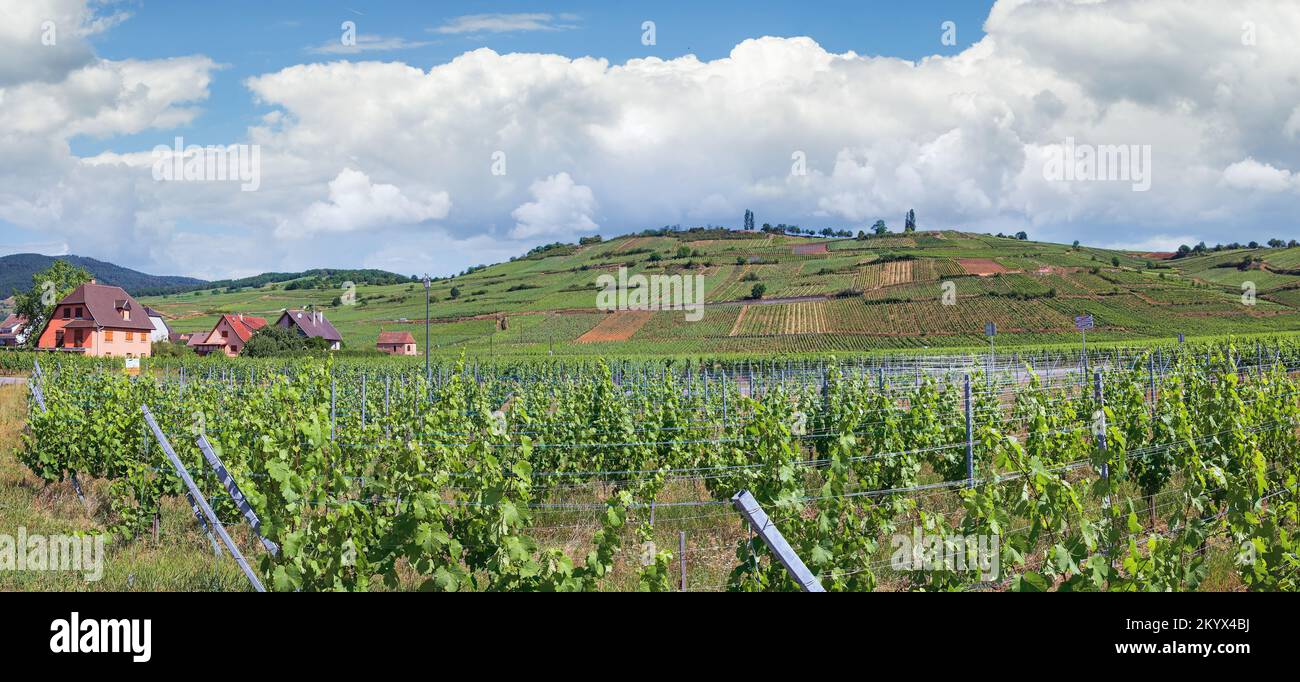 Vue panoramique sur la ville de Kaysersberg en France Banque D'Images