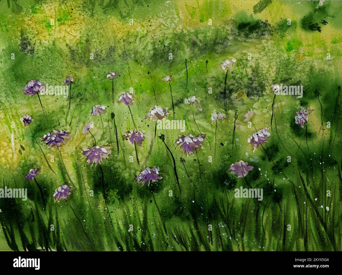 Fleurs sauvages dans un pré vert. Peinture aquarelle meuble humide dans humide. Banque D'Images