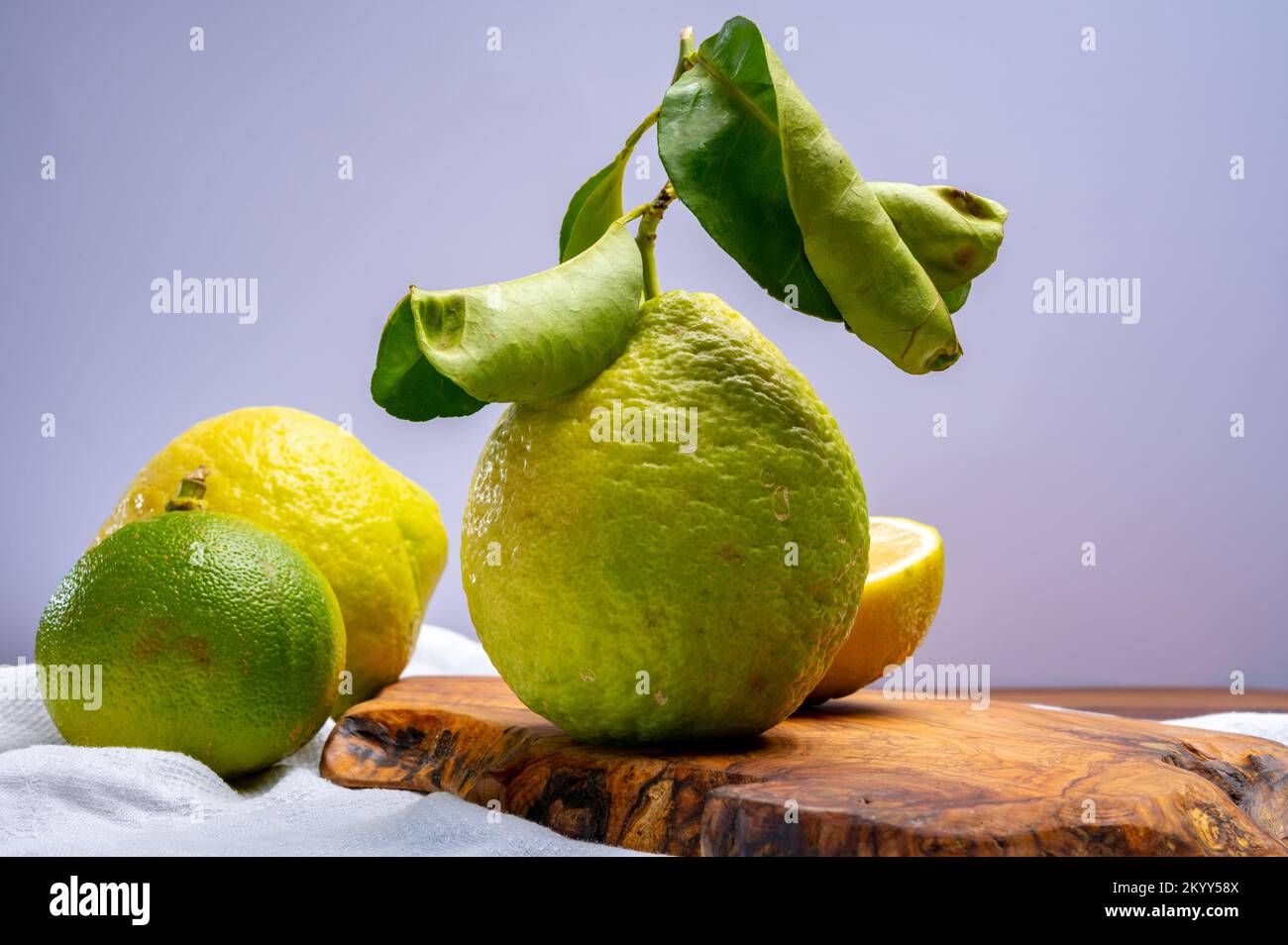 Variété d'agrumes, bergamote mûre et cédrate de citron-citron ou Citrus medica, grands agrumes parfumés à la croûte épaisse Banque D'Images