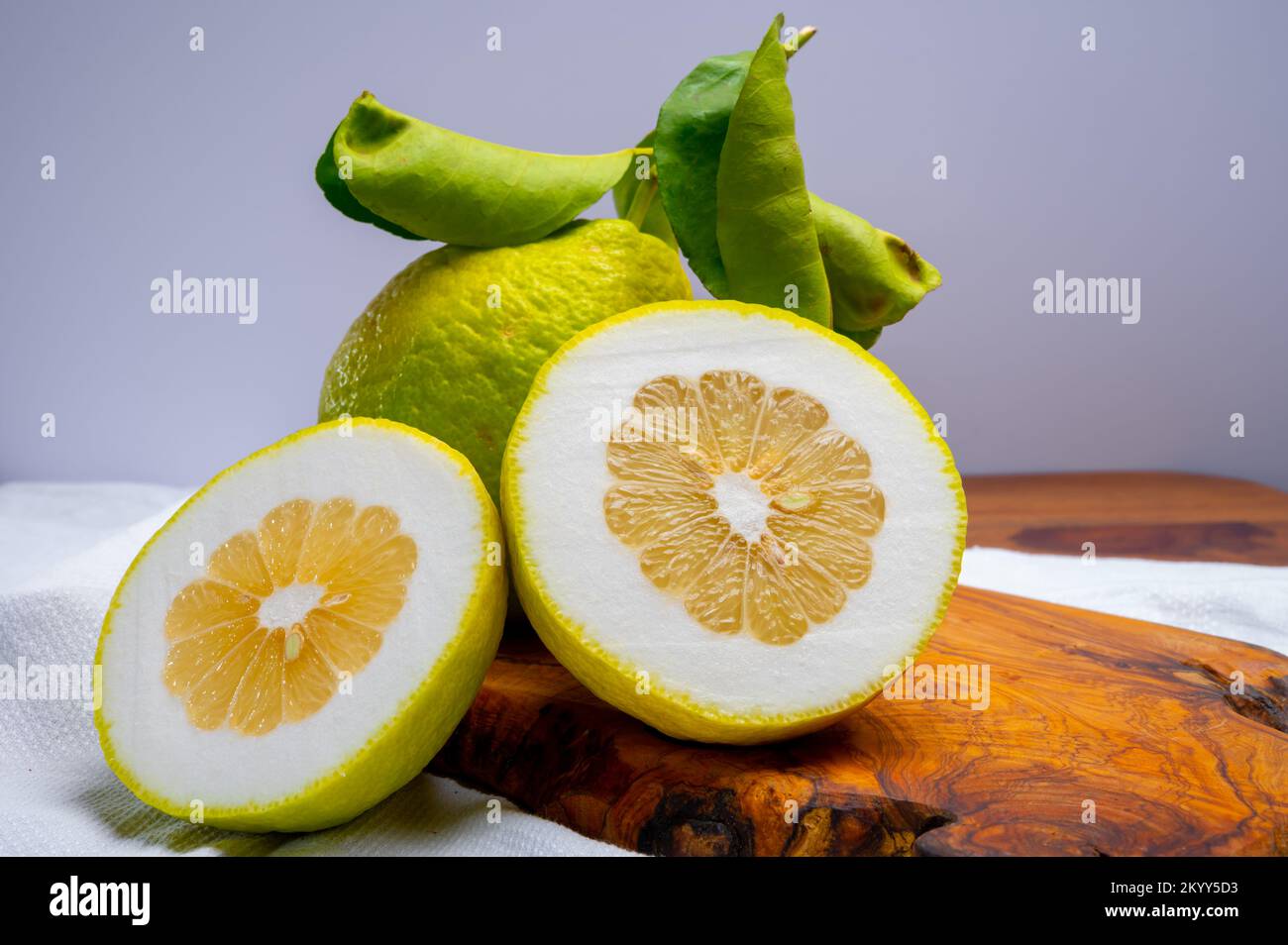 Cédrate de citron-citron ou Citrus medica, grands agrumes parfumés avec de la croûte épaisse utilisés pour faire de la limonchello italienne Banque D'Images
