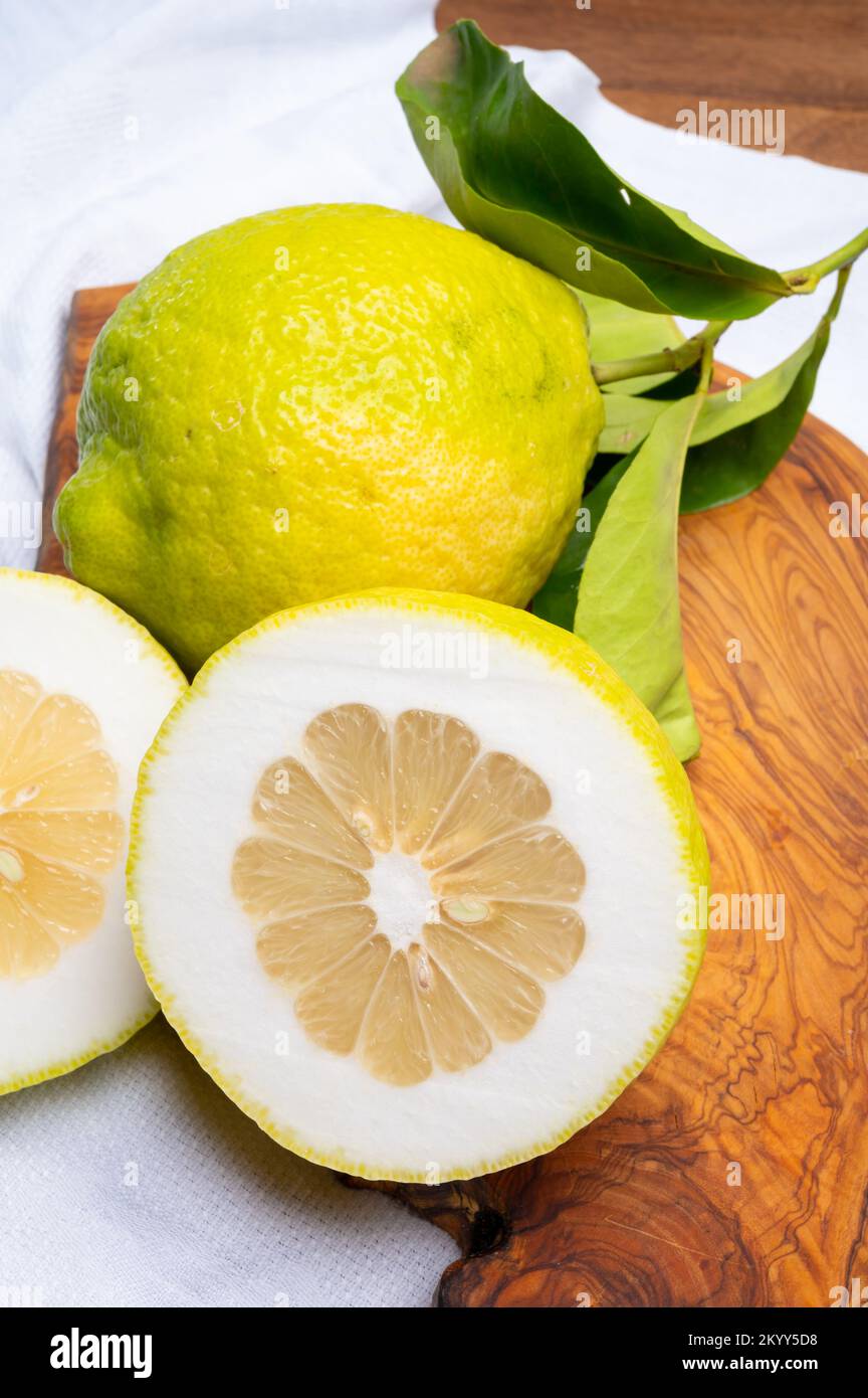 Cédrate de citron-citron ou Citrus medica, grands agrumes parfumés avec de la croûte épaisse utilisés pour faire de la limonchello italienne Banque D'Images