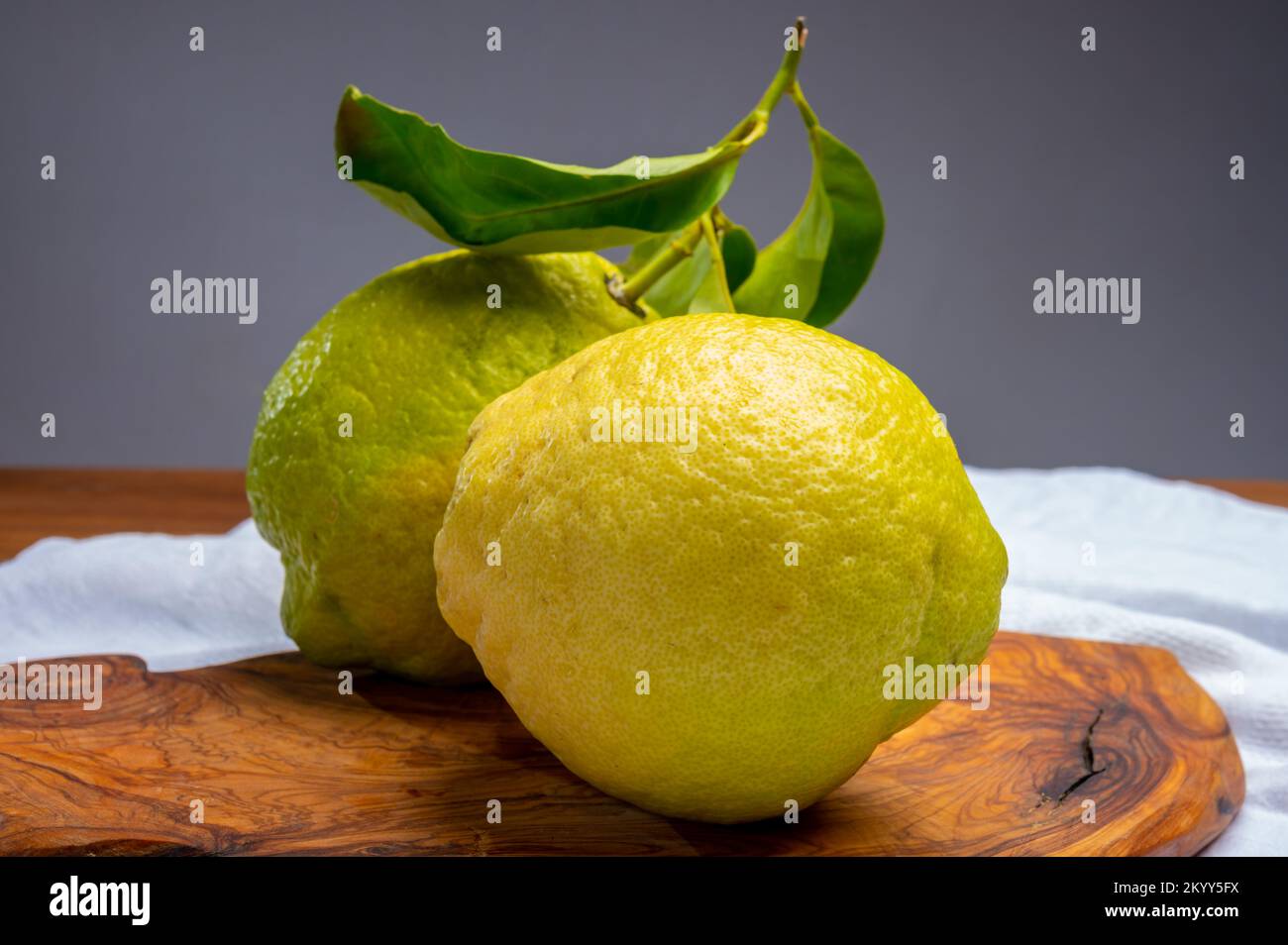 Cédrate de citron-citron ou Citrus medica, grands agrumes parfumés avec de la croûte épaisse utilisés pour faire de la limonchello italienne Banque D'Images