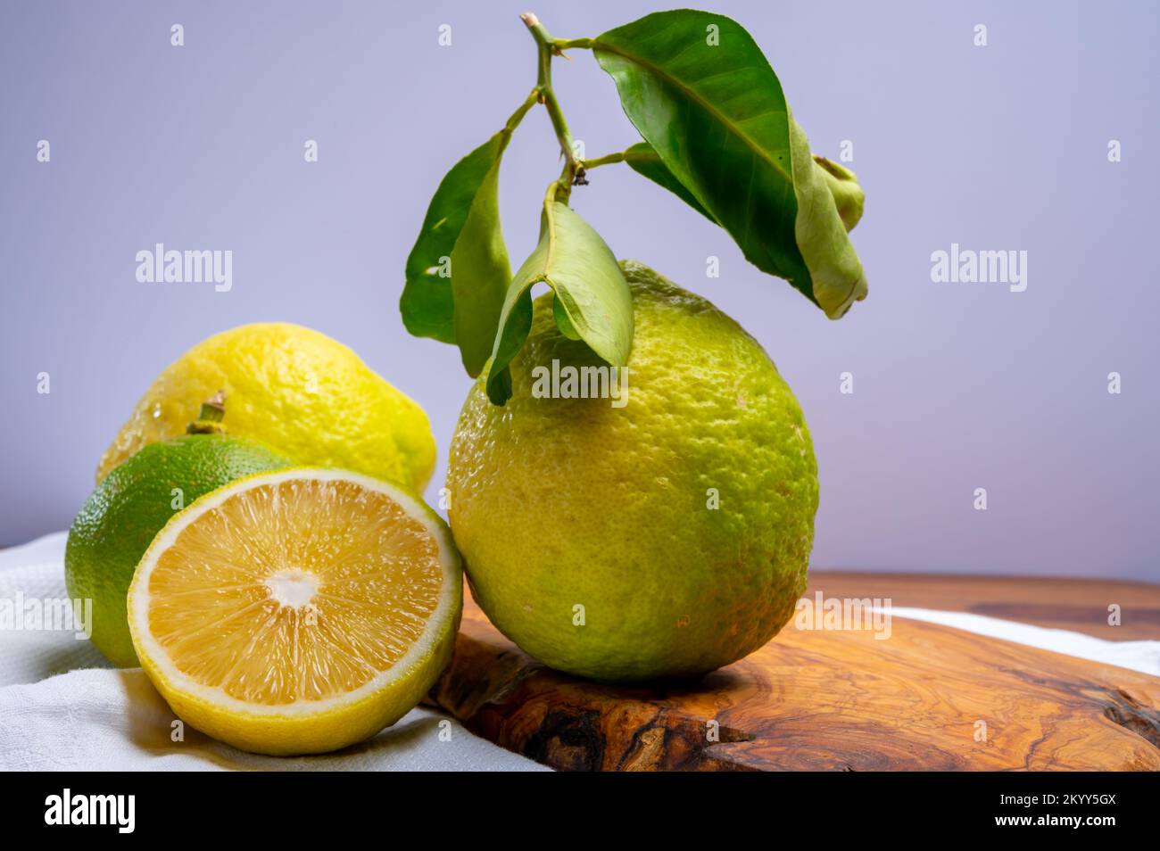 Variété d'agrumes, bergamote mûre et cédrate de citron-citron ou Citrus medica, grands agrumes parfumés à la croûte épaisse Banque D'Images