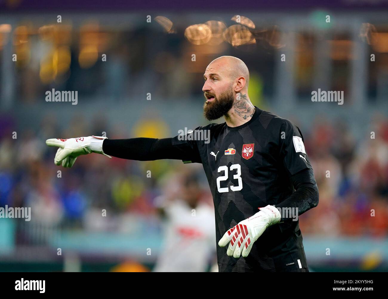 Le gardien de but serbe Vanja Milinkovic-Savic lors du match G de la coupe du monde de la FIFA au stade 974 à Doha, au Qatar. Date de la photo: Vendredi 2 décembre 2022. Banque D'Images