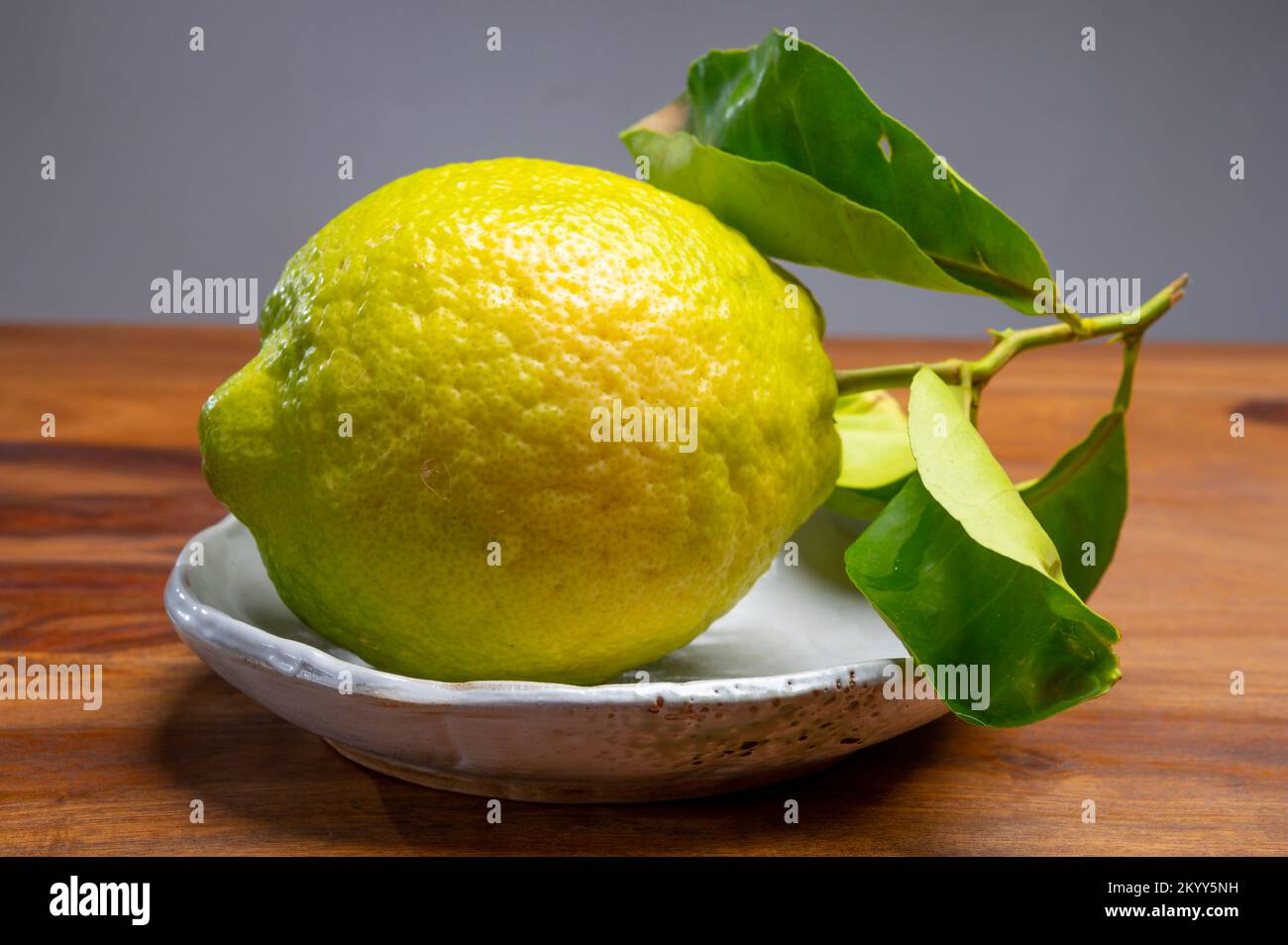 Cédrate de citron-citron ou Citrus medica, grands agrumes parfumés avec de la croûte épaisse utilisés pour faire de la limonchello italienne Banque D'Images