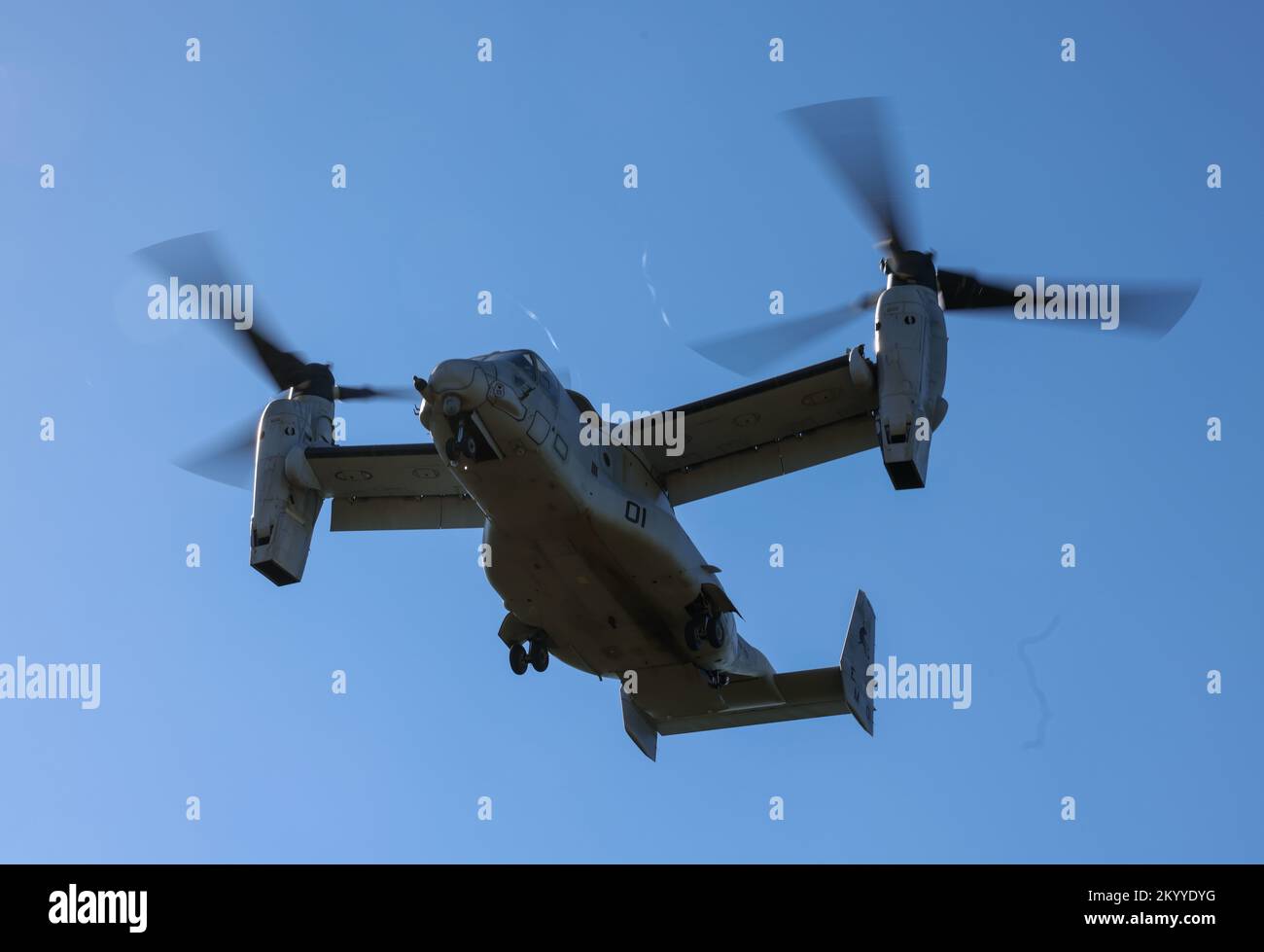 ÉTATS-UNIS Marines avec Marine Medium Tiltrotor Squadron (VMM) 261, 2D Marine Aircraft Wing, se préparer à atterrir une MV-22 Osprey transportant des Marines avec Headquarters and support (H&S) Company, 2nd radio Battalion, II Marine Expeditionary Force (MEF) information Group lors d'une simulation d'évacuation des blessés sur la base du corps maritime Camp Lejeune, Caroline du Nord, 29 novembre 2022. H&S FEX, organisé par le 2nd radio Battalion, offre aux Marines du MEF II l'occasion de développer davantage leurs compétences militaires en mettant l'accent sur la création de la communauté et de l'esprit de corps. (É.-U. Photo du corps marin par le Cpl Nathan Mitchell) Banque D'Images