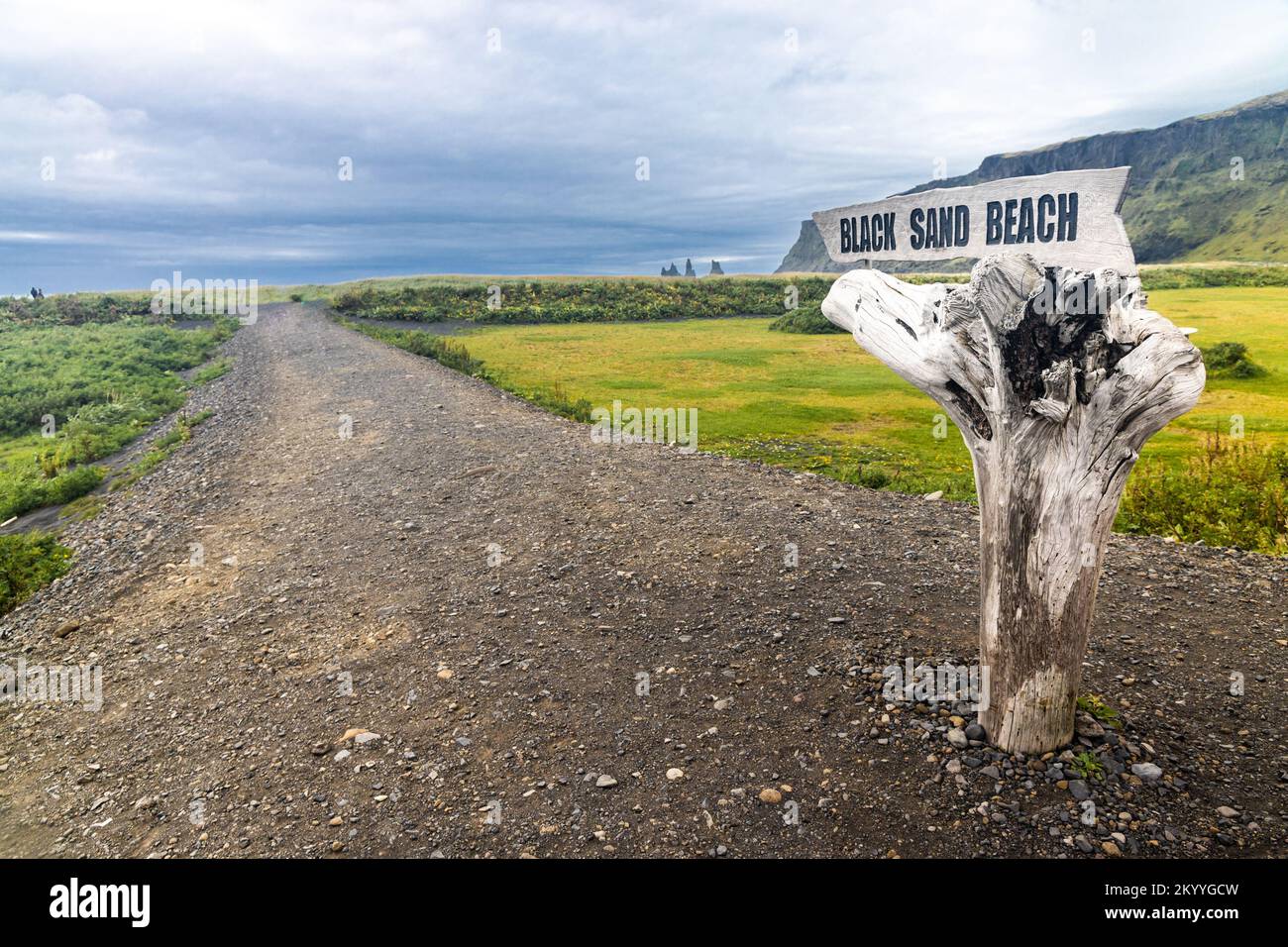 Suivez la direction de la pittoresque plage de sable noir volcanique de Vik en Islande Banque D'Images