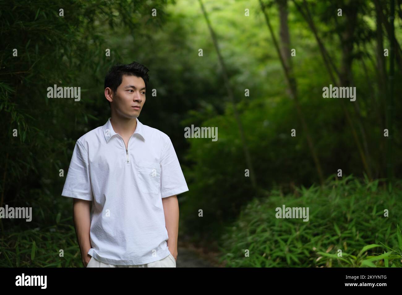 Beau jeune homme asiatique à Green Bamboo grove, en regardant loin Banque D'Images