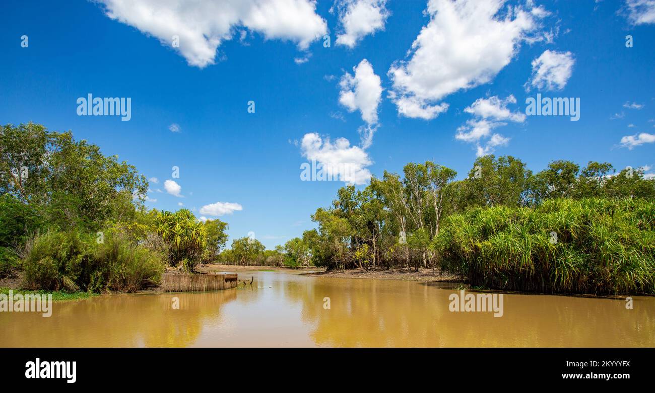 Vue sur la forêt de mousson le long des rives de la rivière Alligator Sud à Kakadu, territoire du Nord, Australie Banque D'Images