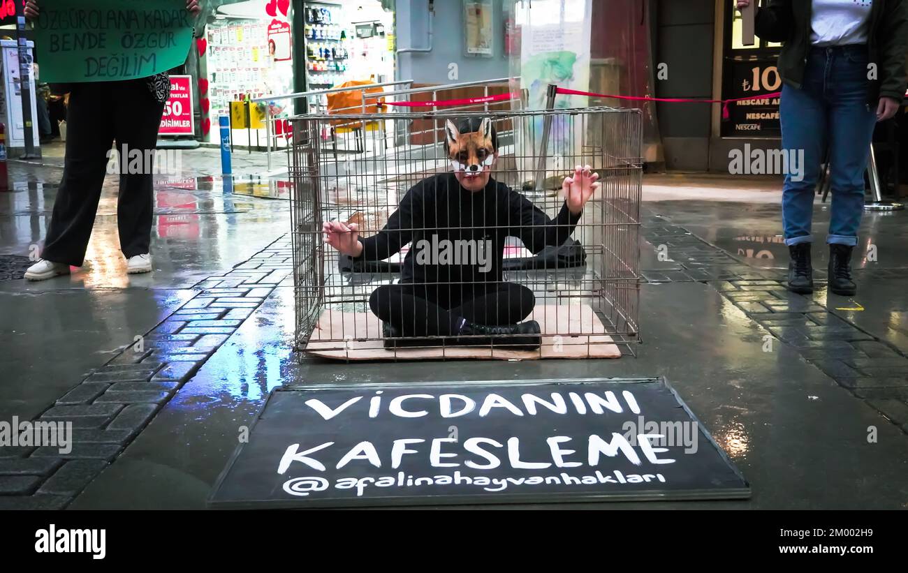 Izmir, Turquie, Turquie. 2nd décembre 2022. Afalina, un groupe de défense des droits des animaux végétaliens, qui s'est réuni pour être une voix pour la liberté des animaux en captivité, a protesté contre l'esclavage des animaux avec la performance de la cage et a répondu aux questions de la foule curieuse sur le mode de vie des légumes. (Credit image: © Dil Toffolo/Pacific Press via ZUMA Press Wire) Banque D'Images