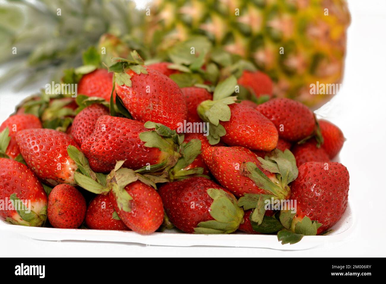 Fruit frais de fraises, la fraise de jardin est une espèce hybride très cultivée du genre Fragaria ananassa et de la pomme de terre (Ananas comosus) tropica Banque D'Images