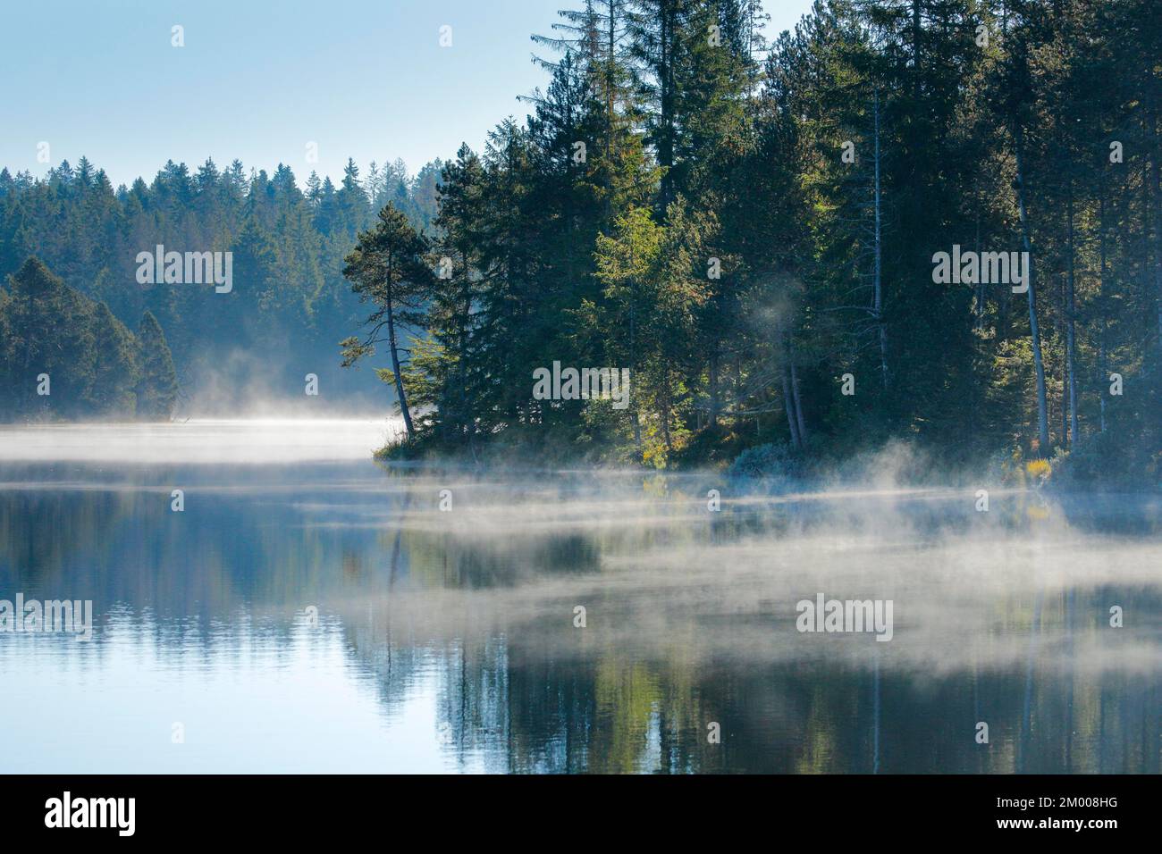 Des pins et des spruces bordent la rive du lac de la lande Étang de la Gruère, à effet miroir-lisse, couvert de brume dans le canton du Jura, Suisse, Europe Banque D'Images