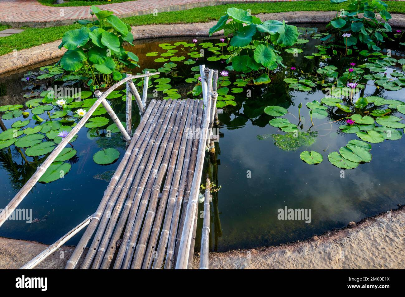 Un court pont fait de poteaux de bambou, passe au-dessus d'un petit étang au Vietnam. Banque D'Images