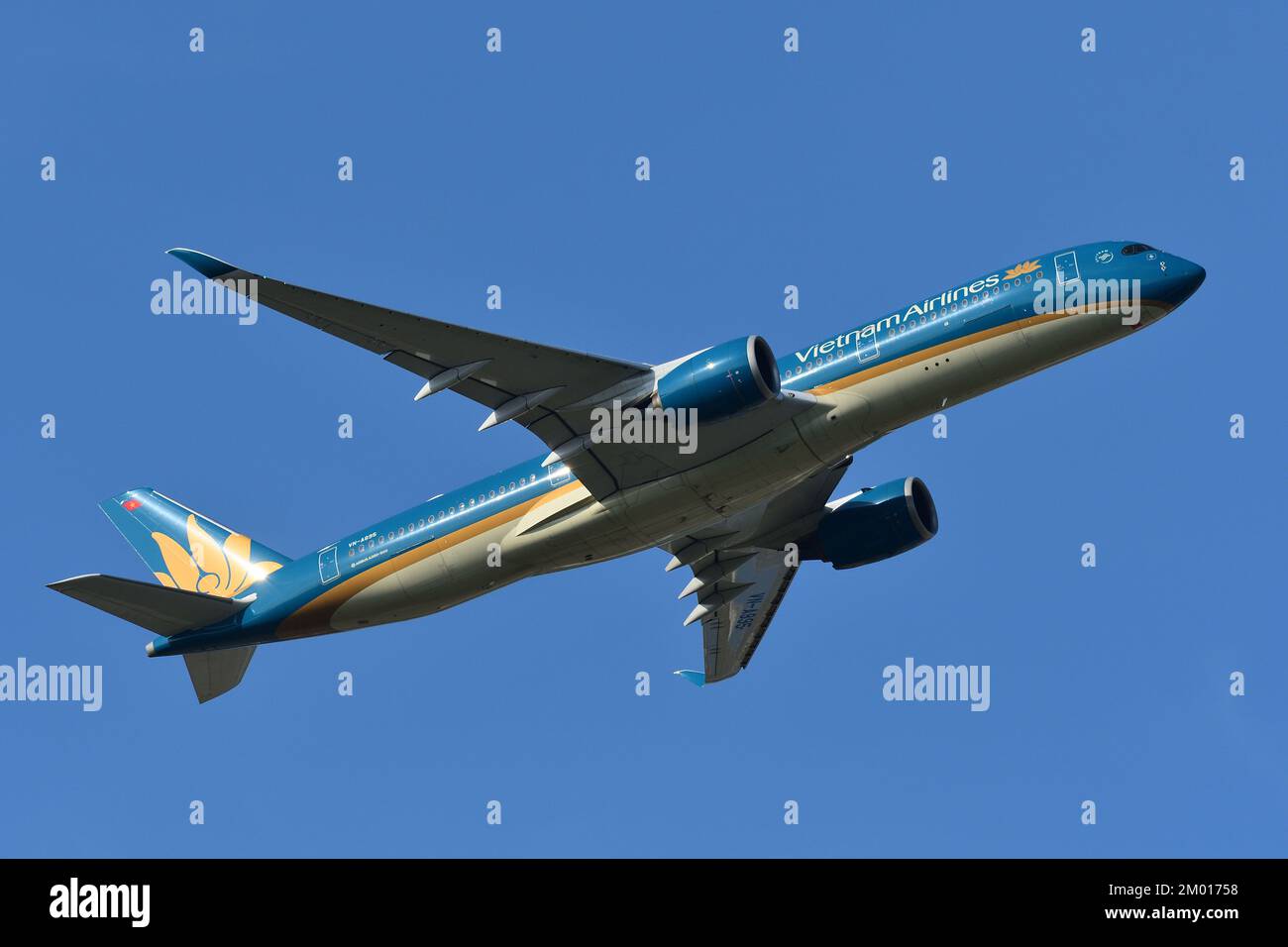 Préfecture de Chiba, Japon - 05 mai 2019 : avion passager Airbus A350-900 (VN-A895) de Vietnam Airlines. Banque D'Images