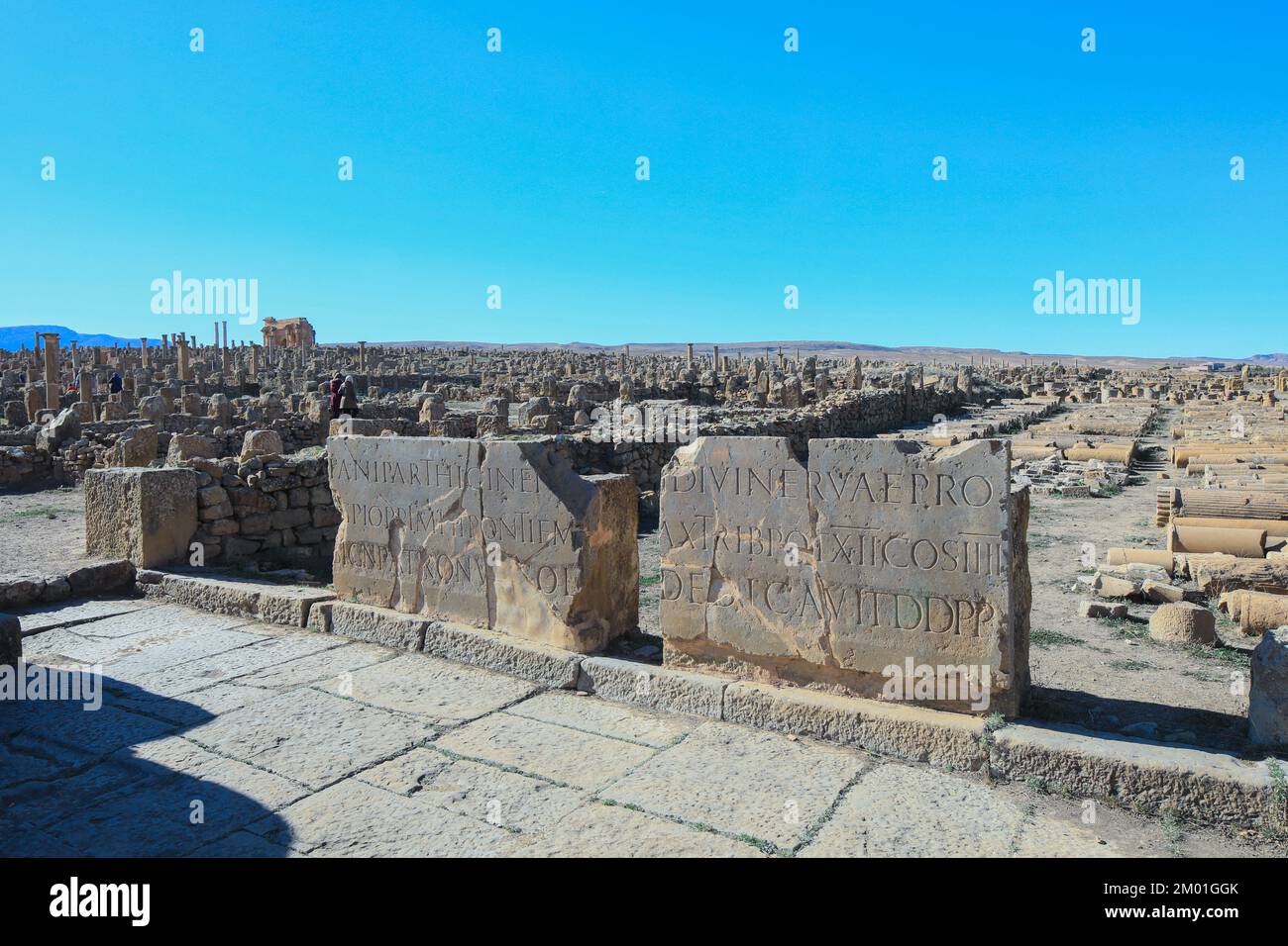 Vue sur les ruines d'une ancienne ville romaine Timgad également connue sous le nom de Marciana Traiana Thamugadi dans les montagnes d'Aures, en Algérie Banque D'Images