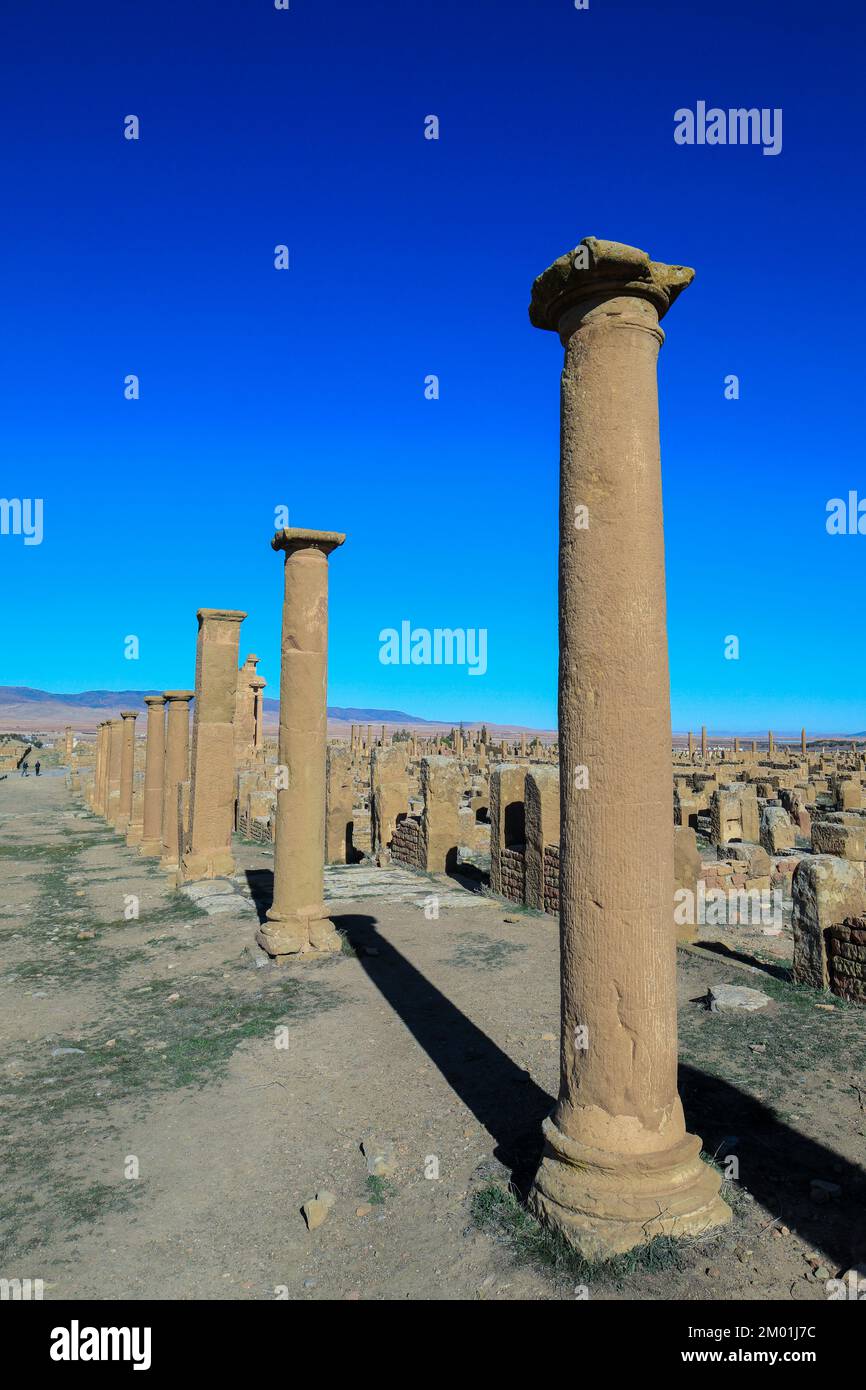 Vue sur les ruines d'une ancienne ville romaine Timgad également connue sous le nom de Marciana Traiana Thamugadi dans les montagnes d'Aures, en Algérie Banque D'Images