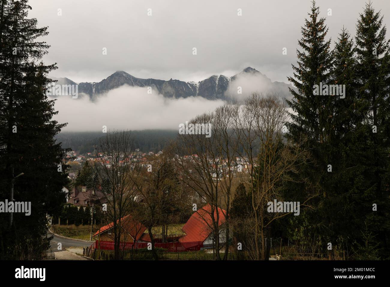 Les montagnes Bucegi (faisant partie du groupe des Carpates du Sud des Carpates dans le centre de la Roumanie) en arrière-plan comme vu de la ville o Banque D'Images
