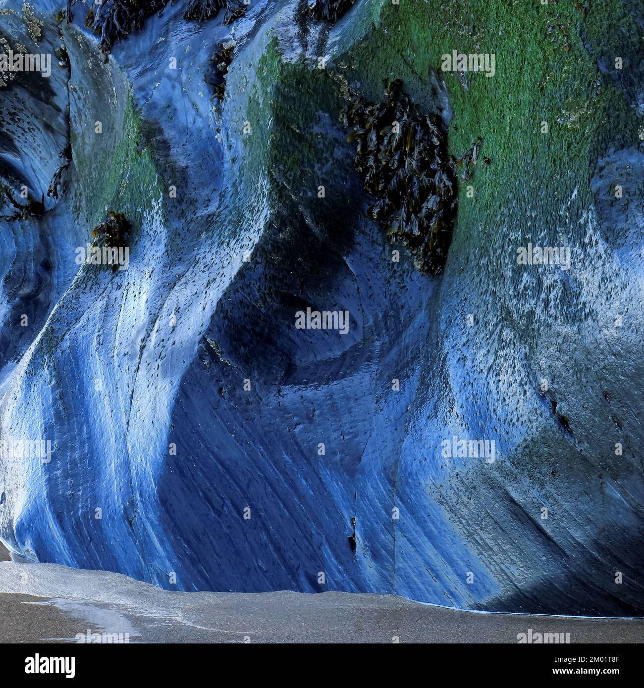 Photographie de la nature de la géologie marine, montrant un motif, une