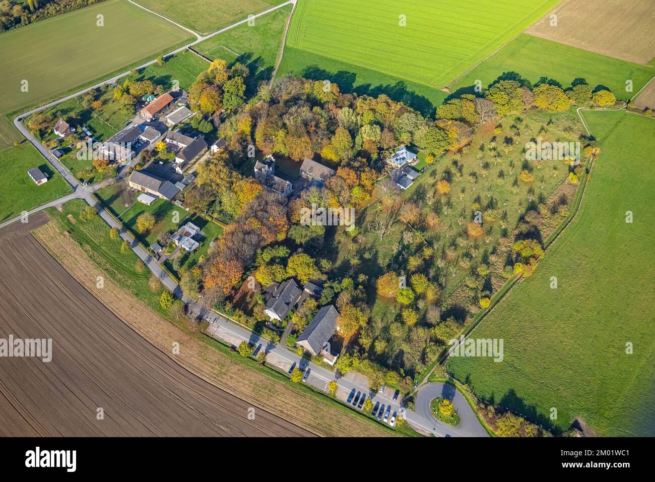 Vue aérienne, château de Werdringen en forêt d'automne, Vorhalle, Hagen, région de la Ruhr, Rhénanie-du-Nord-Westphalie, Allemagne, arbres colorés, Burg, Château comp Banque D'Images