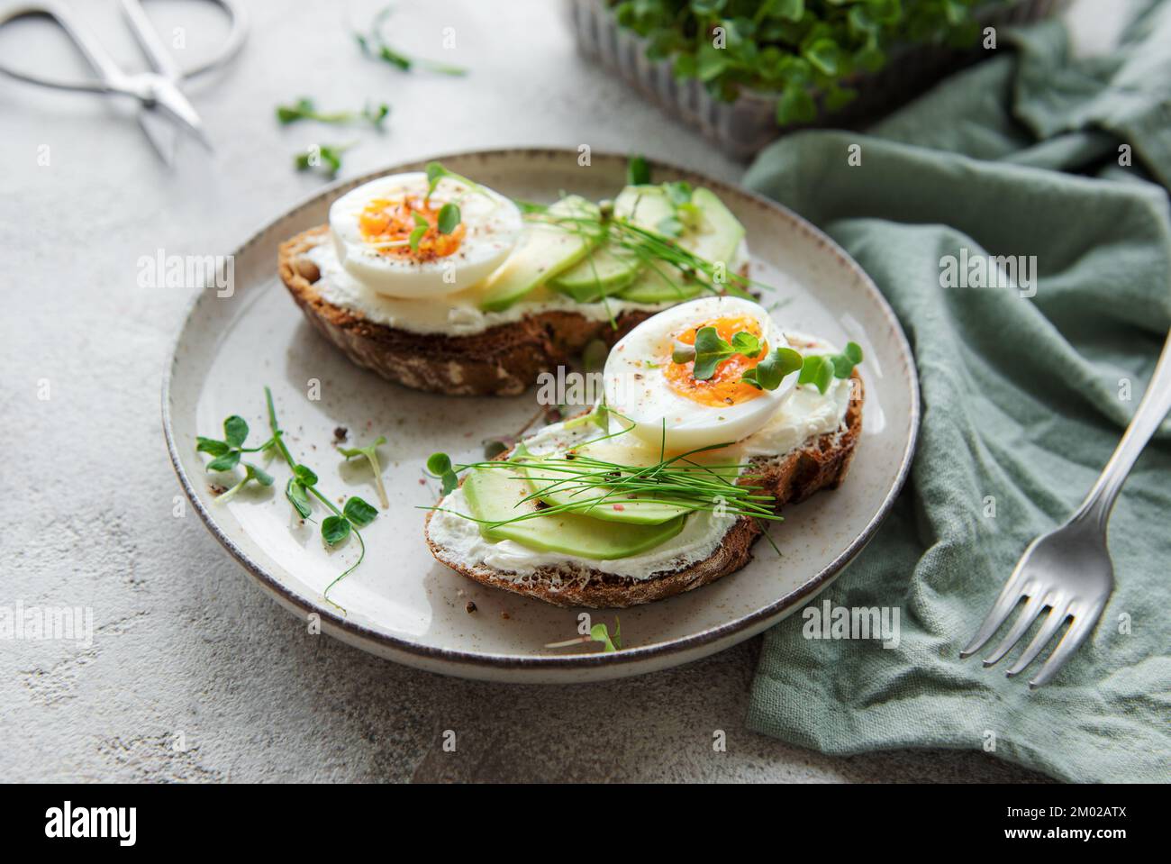 Pain grillé, œufs durs, tranche d'avocat, micro-légumes sur une assiette, heure du petit déjeuner Banque D'Images