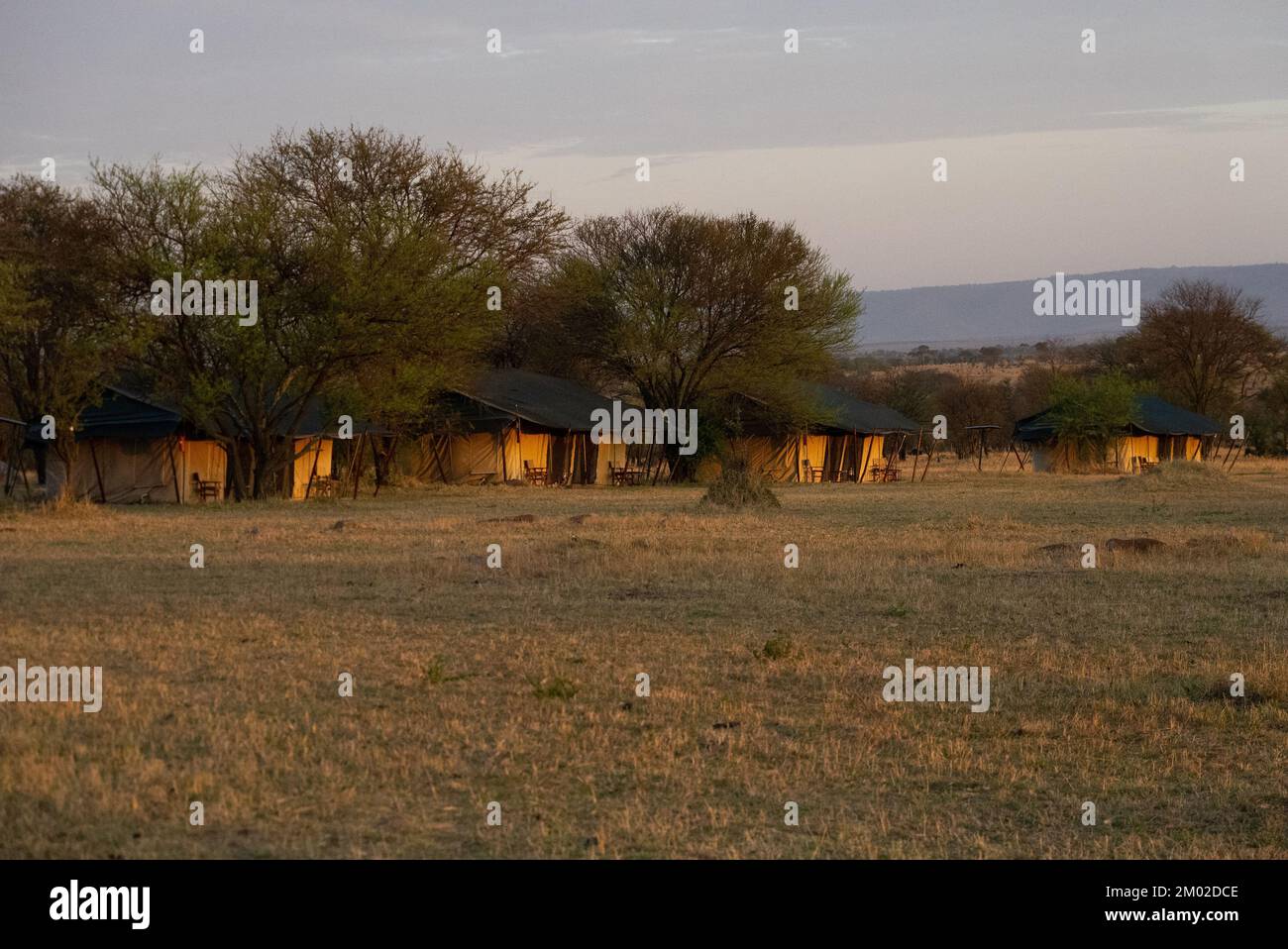 Safari camp dans le Serengeti en Tanzanie Banque D'Images