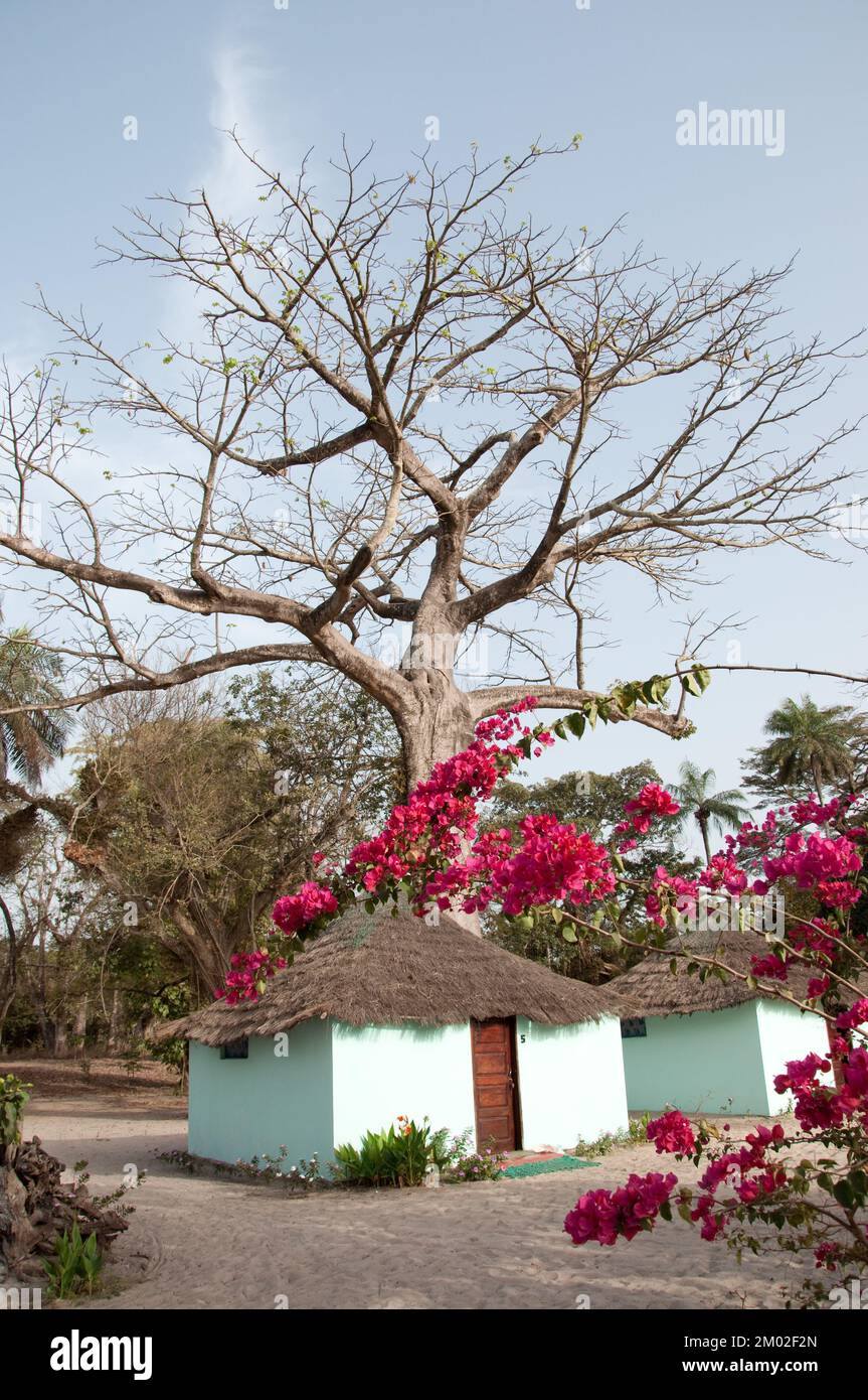 Chez Claude Resort, île de Joao Viera, Guinée-Bissau Banque D'Images