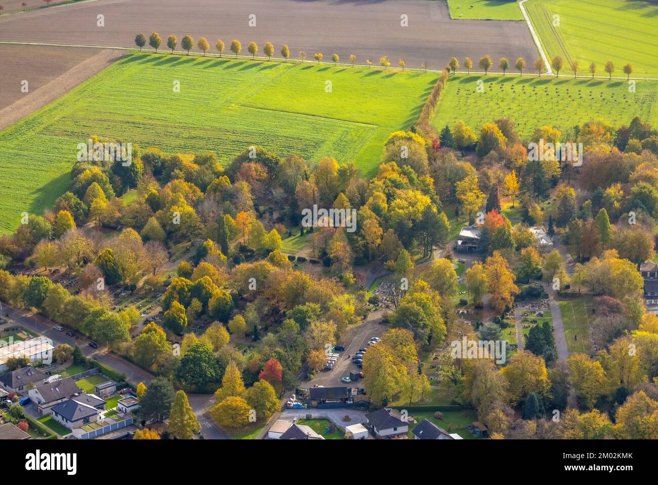 Luftbild, Kamen Südfriedhof, Herbstfarben, Südkamen, Kamen, Ruhrgebiet, Nordrhein-Westfalen, Deutschland, Begräbnisstätte, Bunte Bäume, Bäume dans les herbes Banque D'Images